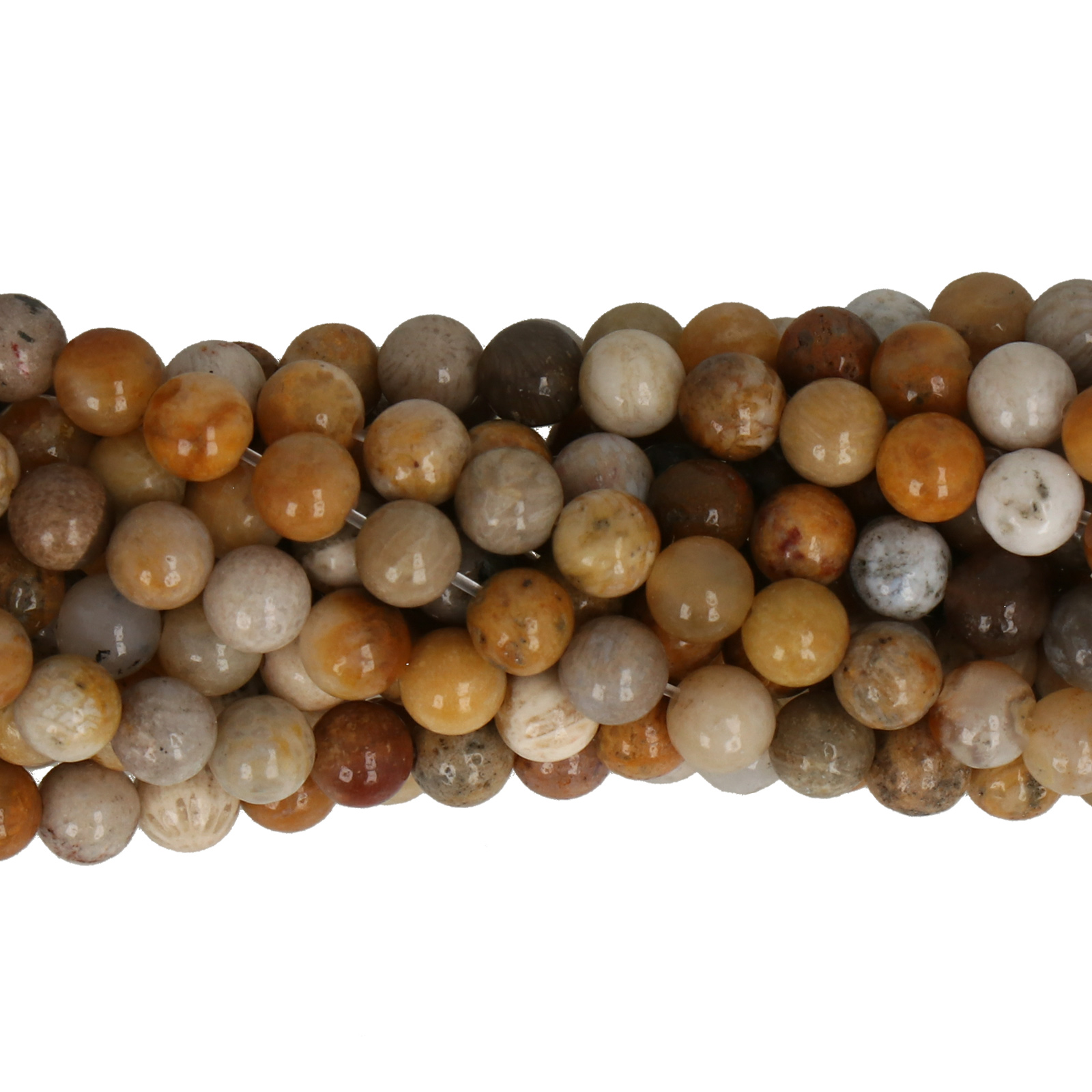 fossil coral glatt runde 4mm | strang 38/40cm