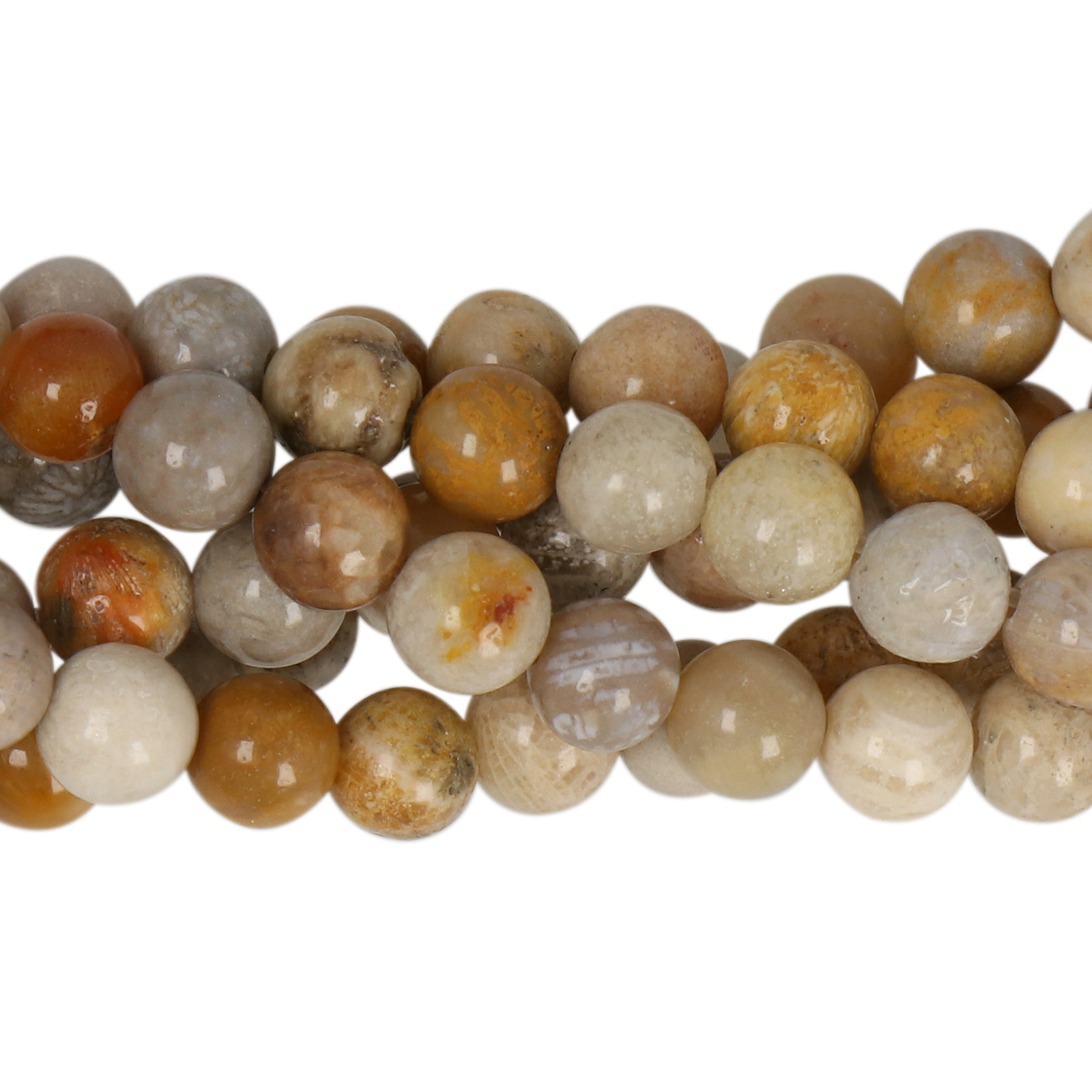 fossil coral smooth round 6mm | 15/16-inch strand