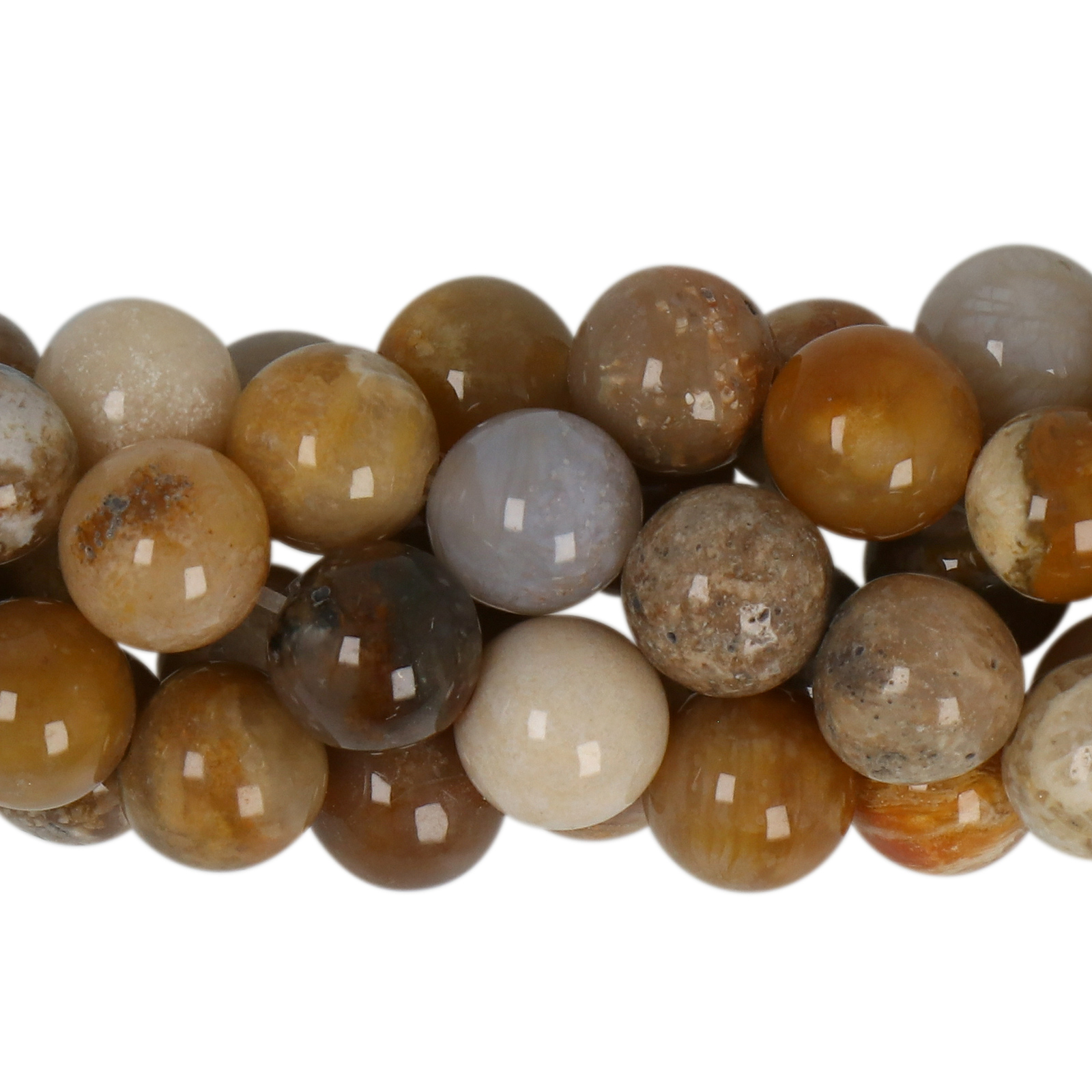 fossil coral smooth round 8mm | 15/16-inch strand