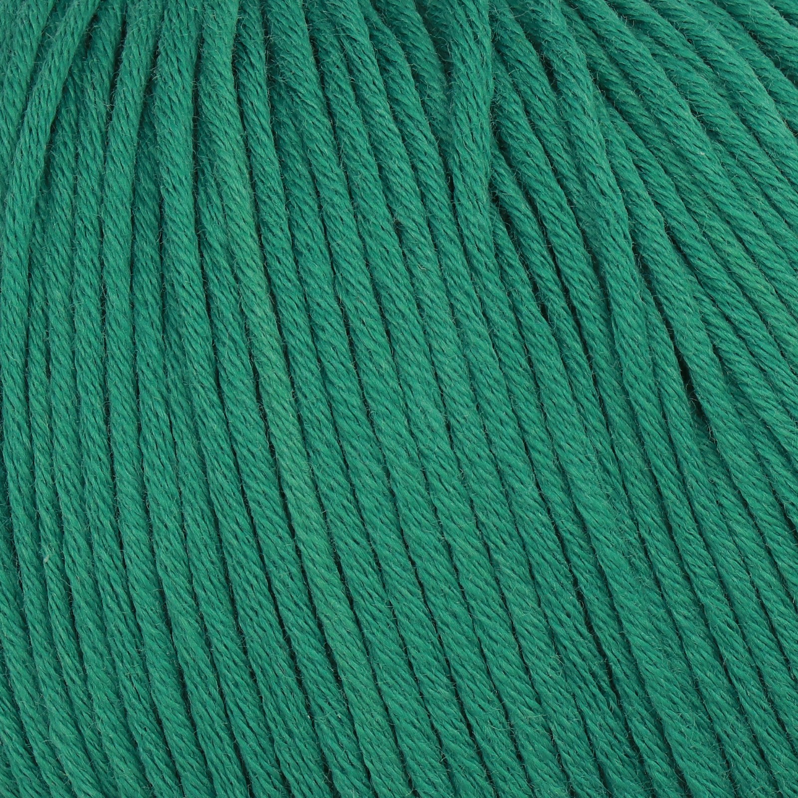 eco soft bio mondial - tanne (246) - 50gr (125mt) | 1st