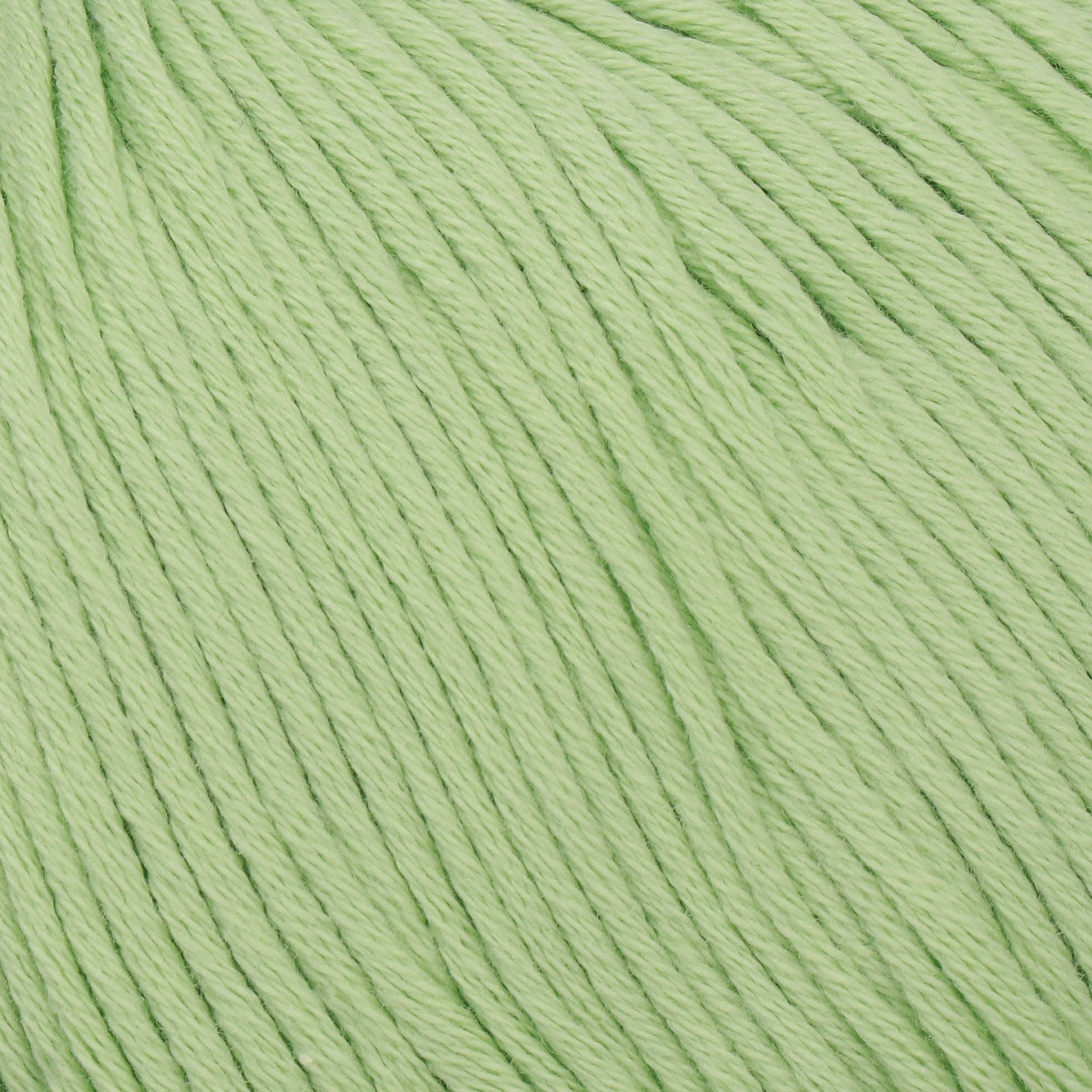 eco soft bio mondial 100% cotone - sprout (262) - 50gr (125mt) | 1pc