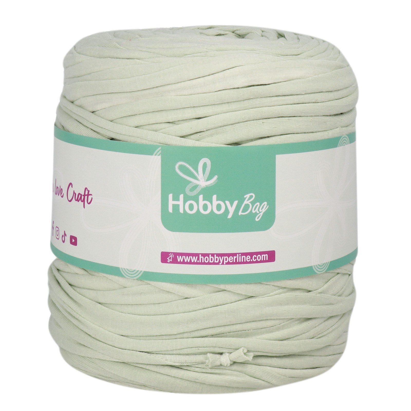 hobbybag t-shirt yarn fettuccia regular - mint green - 700-900gr aprox (110-130mt) | 1pc