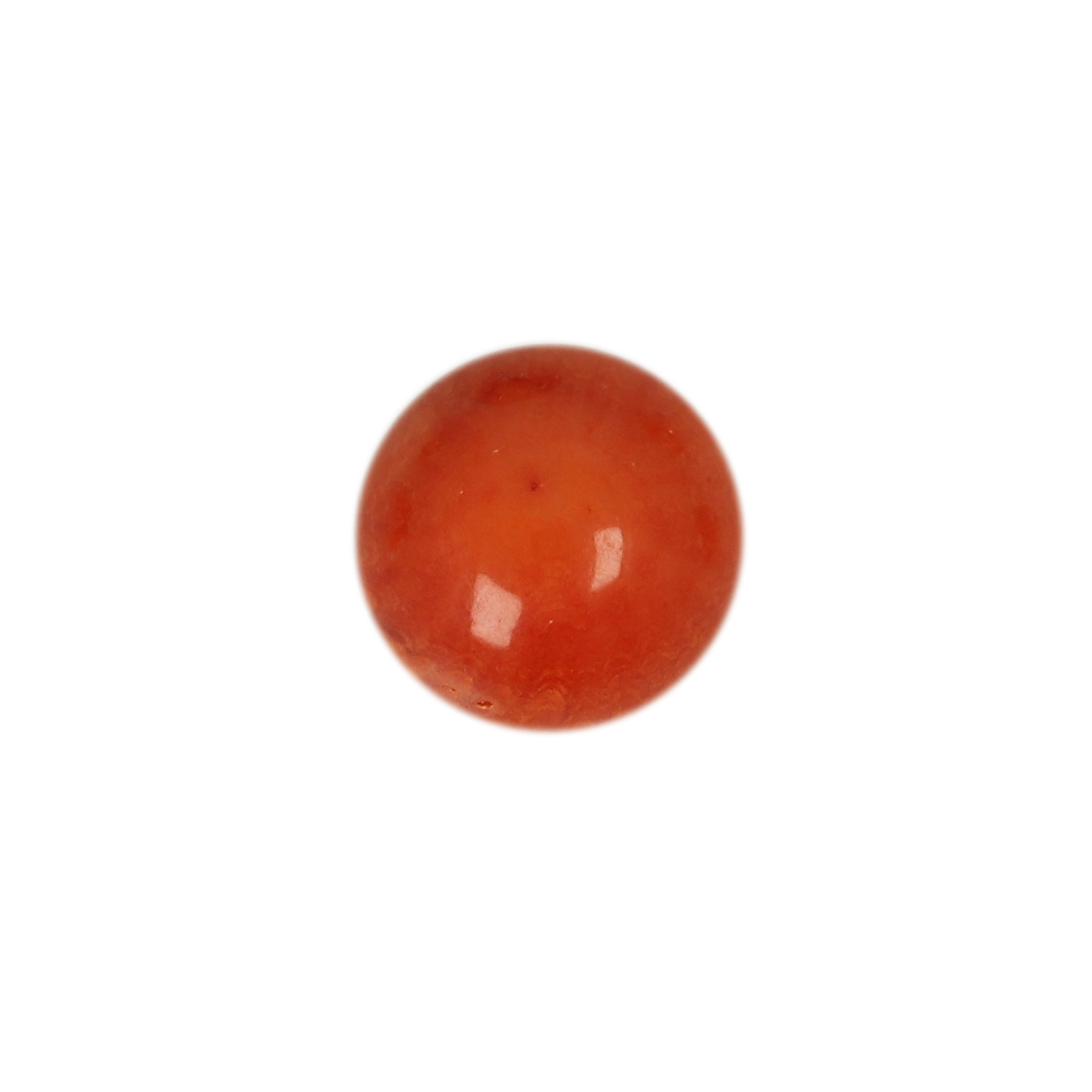 cabochon bambuskorallen orange glatt runde 10mm | 2st