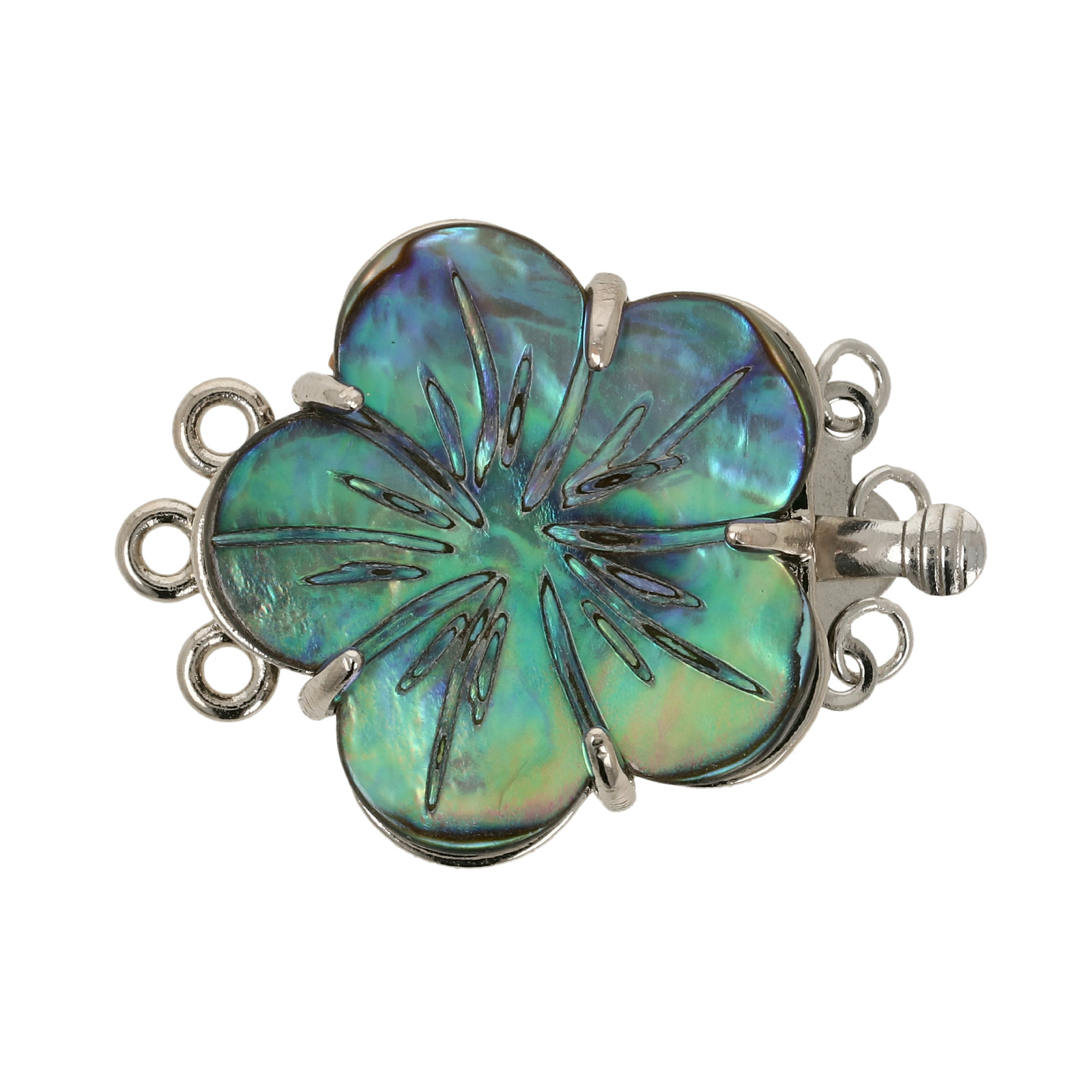 paua shell rhodium silver plated 3 strand box clasp flower 24mm | 1pc