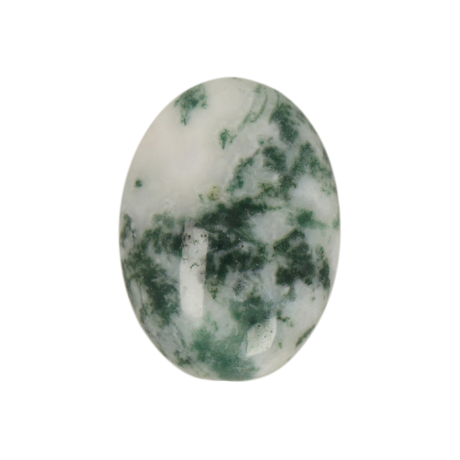 tree agate cabochon smooth oval 25x18mm | 1pc