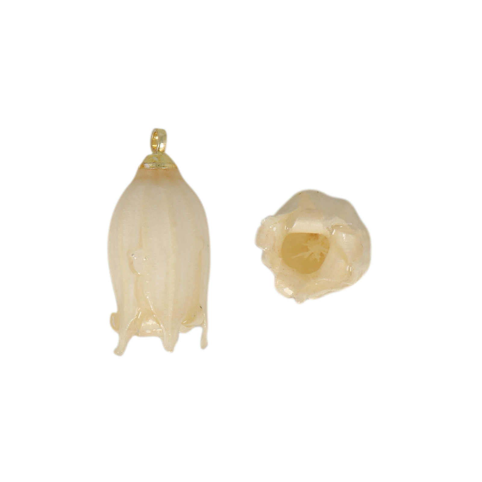 natural dry flower pendant white bellflower - aprox. 16mm | 1pc