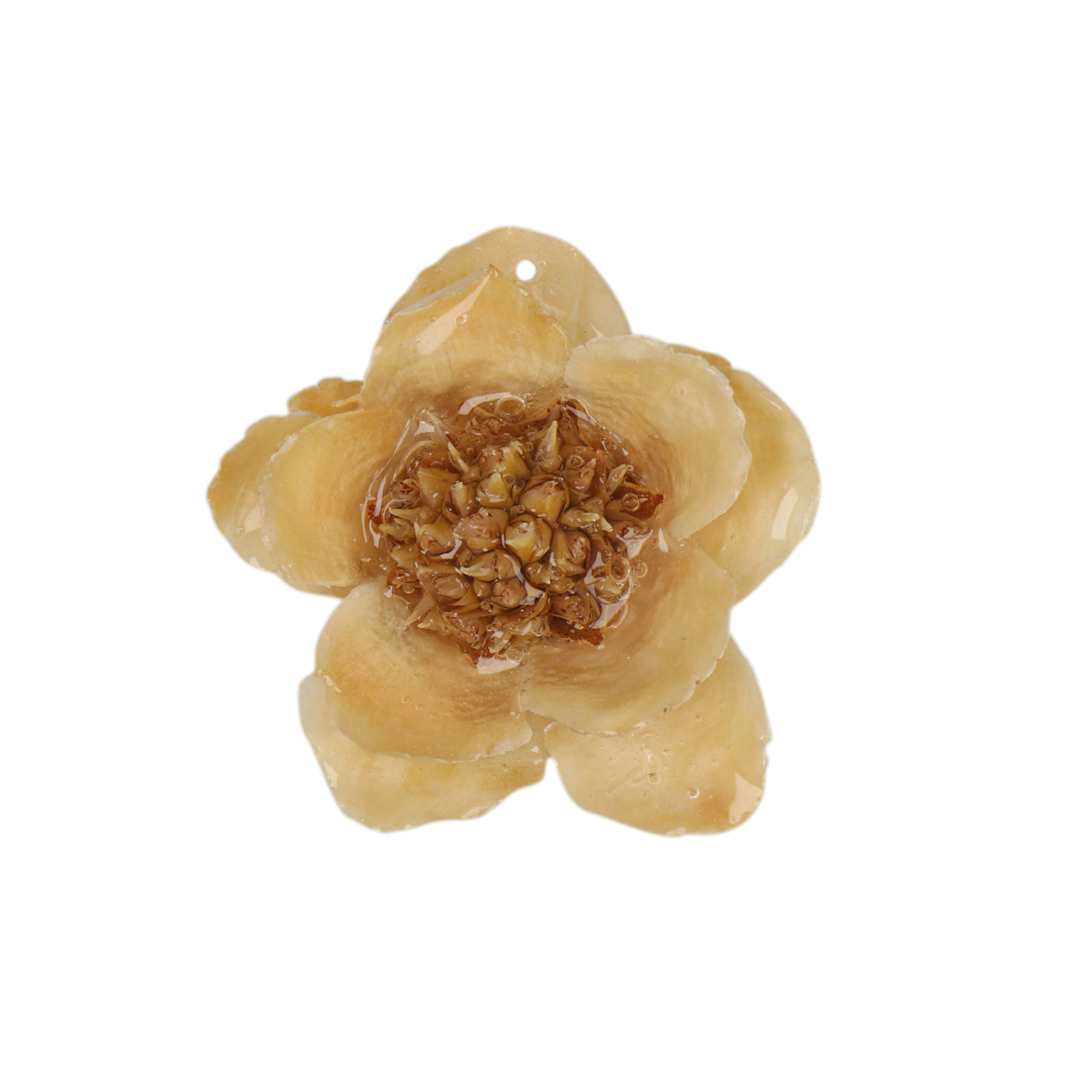 natural dry flower pendant beige helesia - aprox. 25-30mm | 1pc