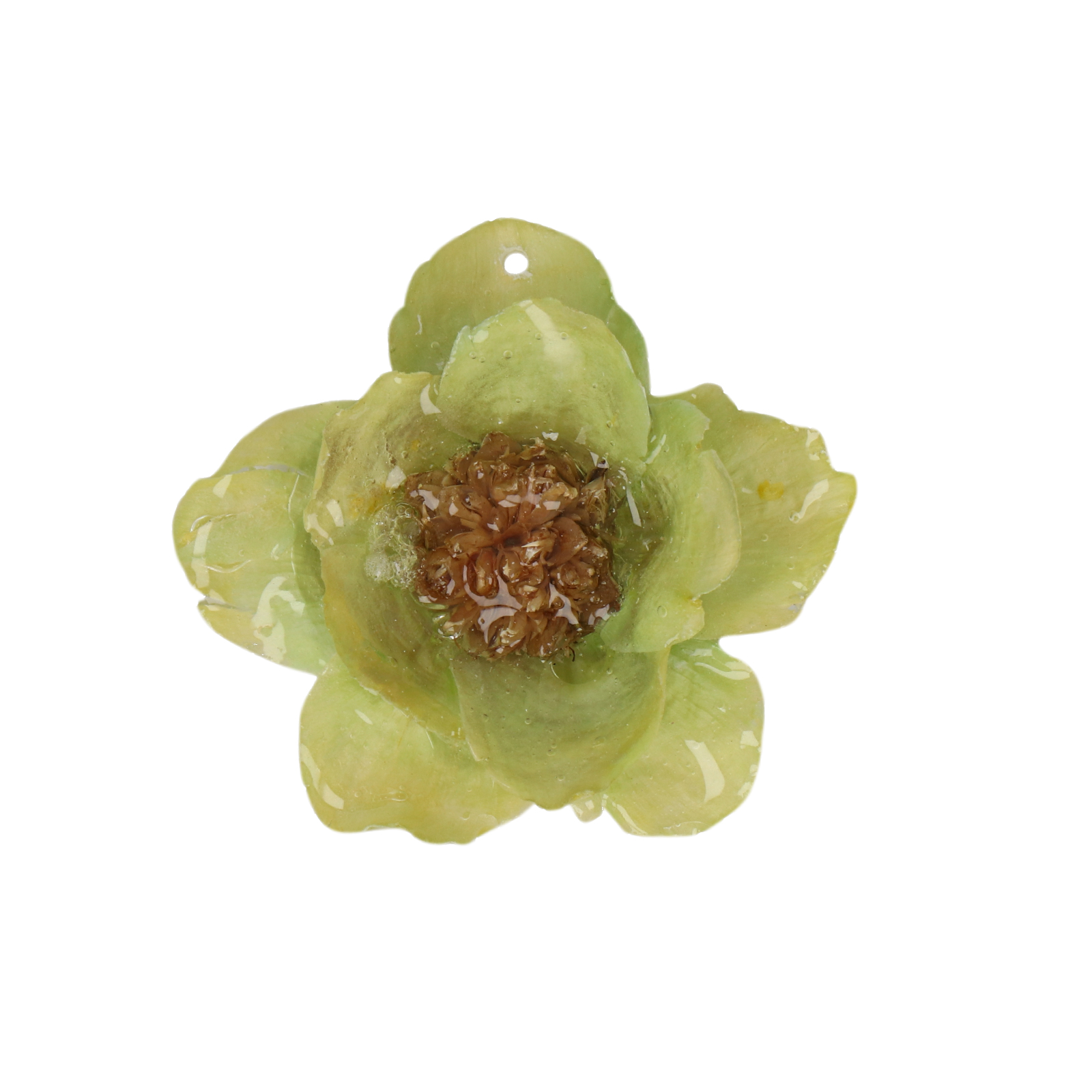 natural dry flower pendant light green helesia - aprox. 25-30mm | 1pc