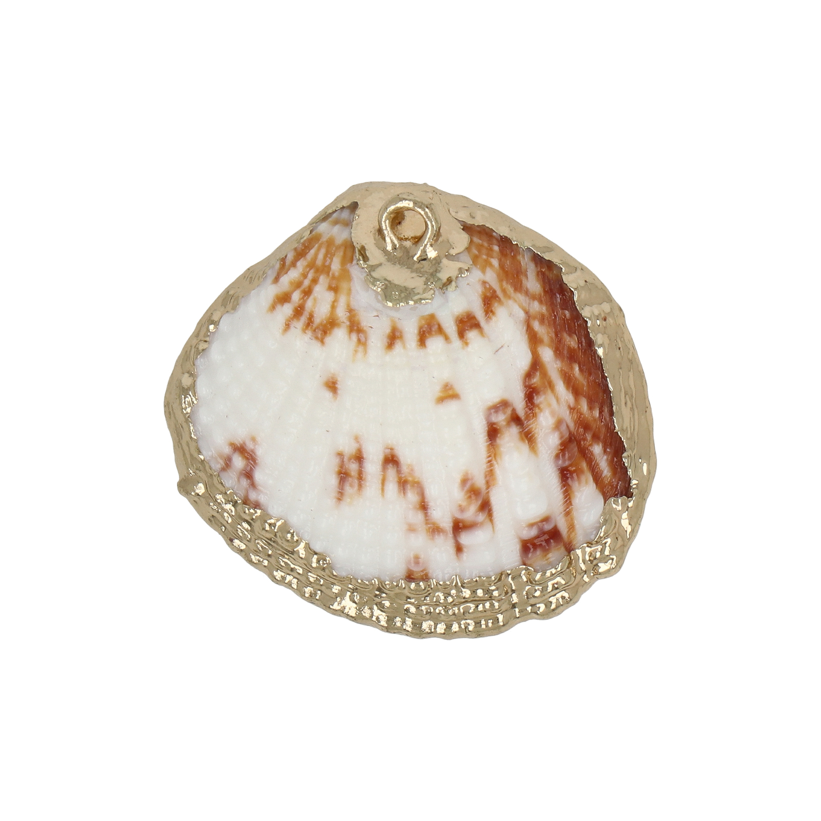 natural shell pendant gold plated 26x22mm | 2pc