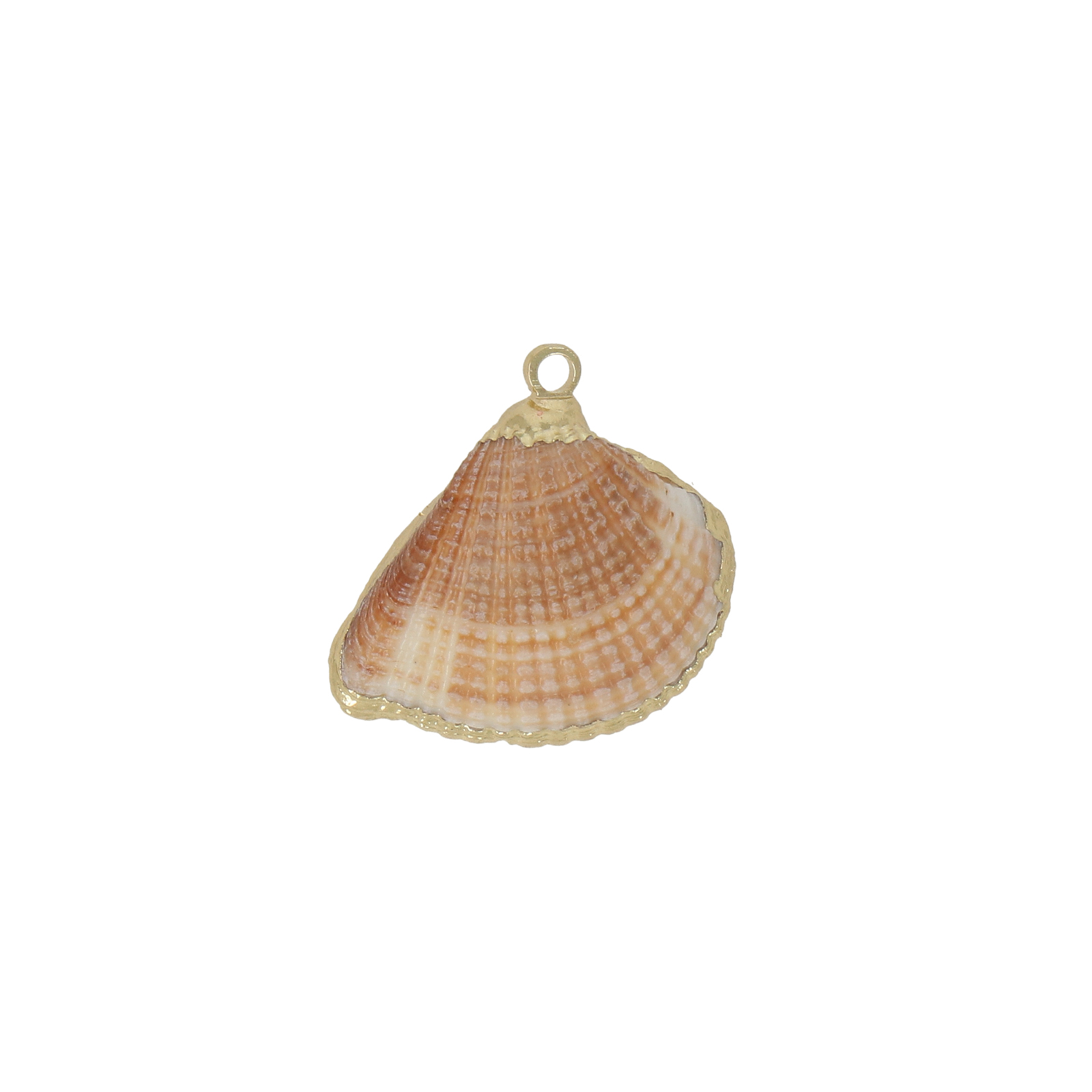 natural shell pendant gold plated 18x12mm | 2pc