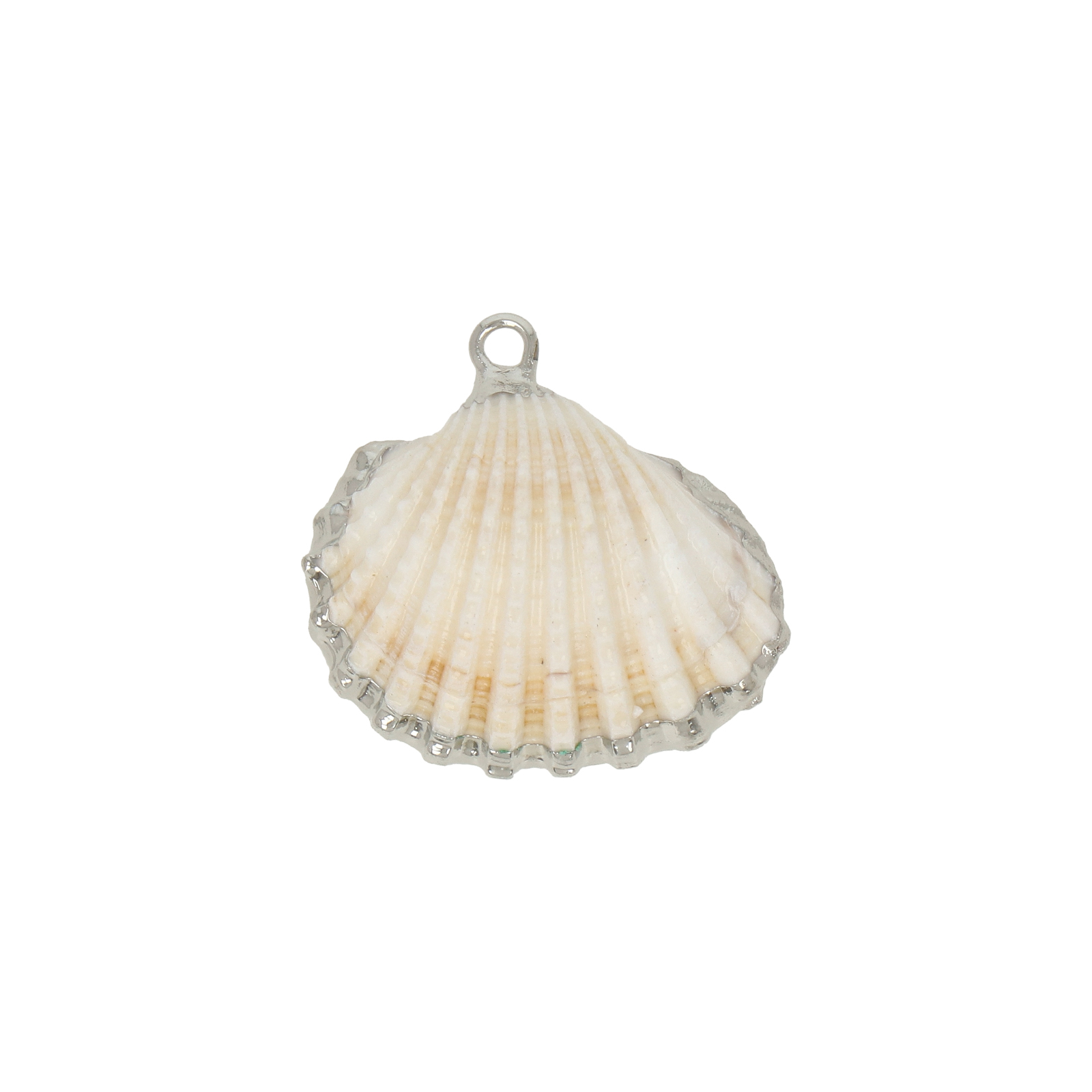 natürliche muschel anhänger silver plated 22x18mm | 2st