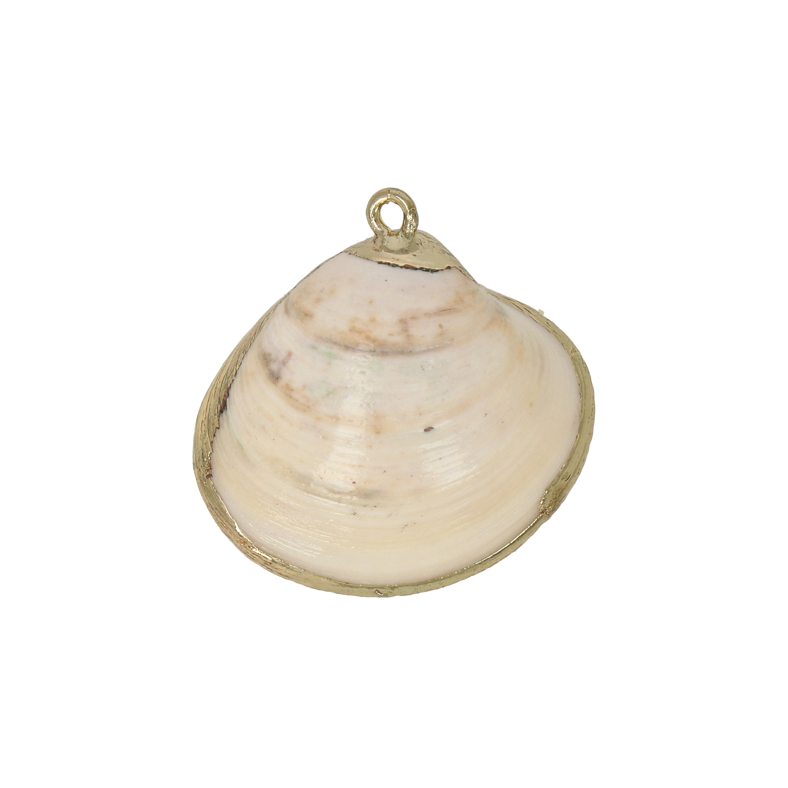 natural shell pendant gold plated 25x22mm | 2pc
