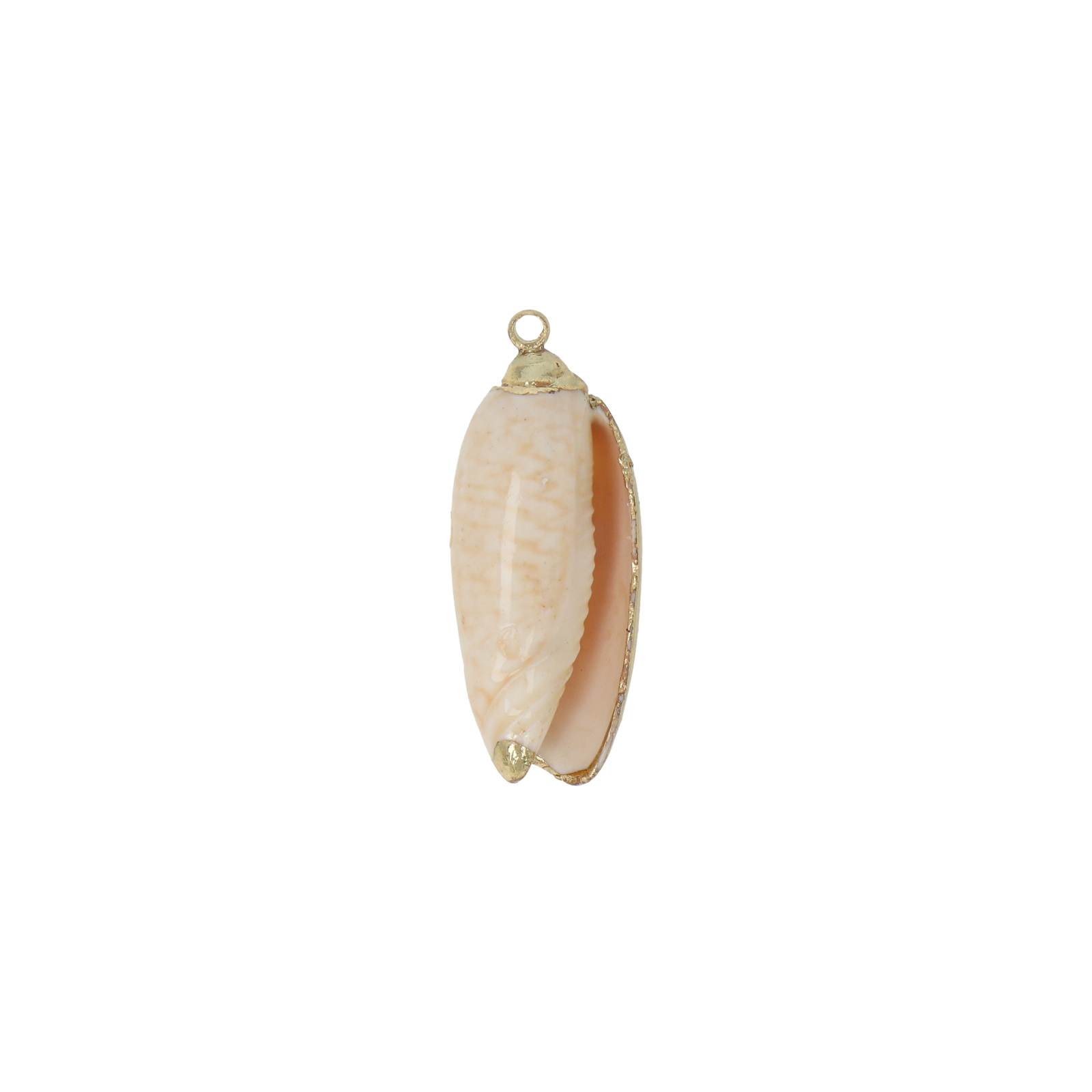 natural shell pendant gold plated 22x11mm | 2pc
