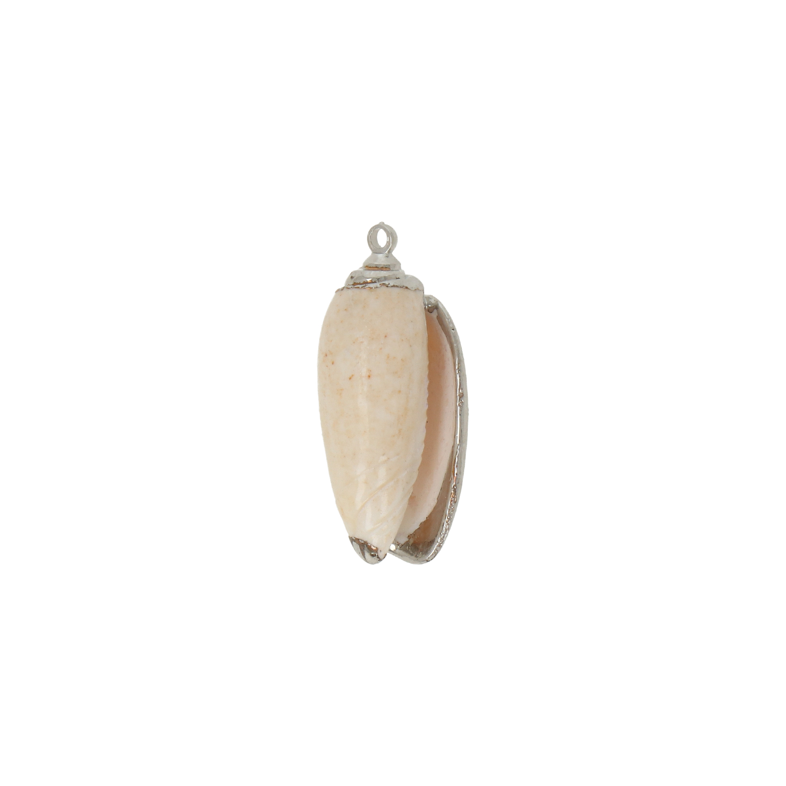 natürliche muschel anhänger silver plated 22x11mm | 2st