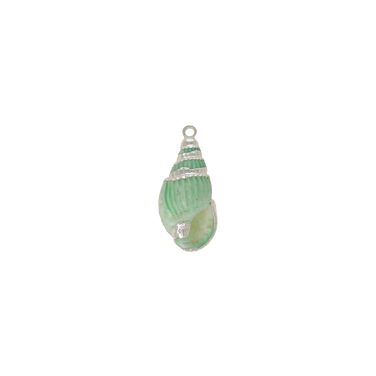 grün natürliche muschel anhänger silver plated 16x10mm | 2st