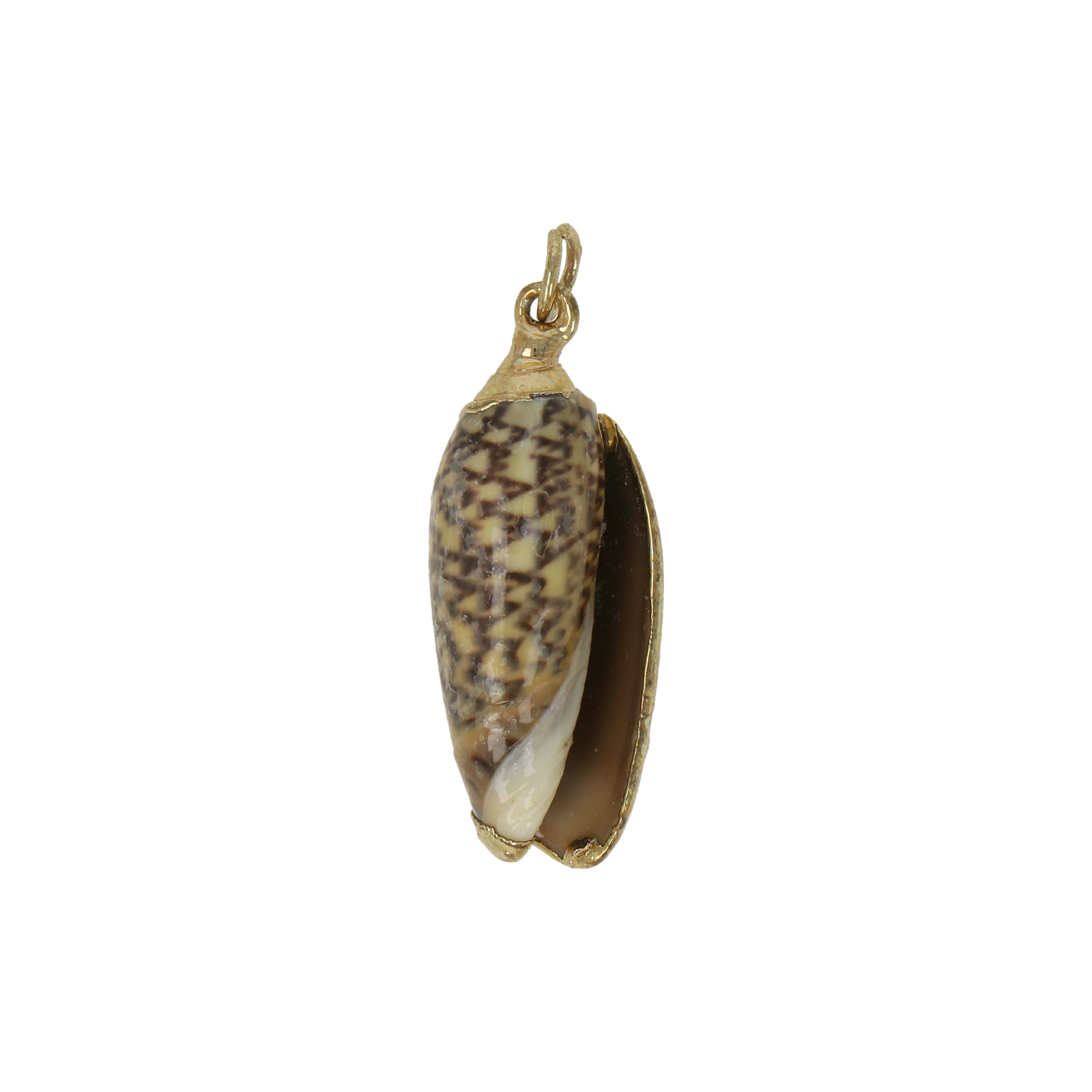natural shell pendant gold plated 26x10mm | 2pc
