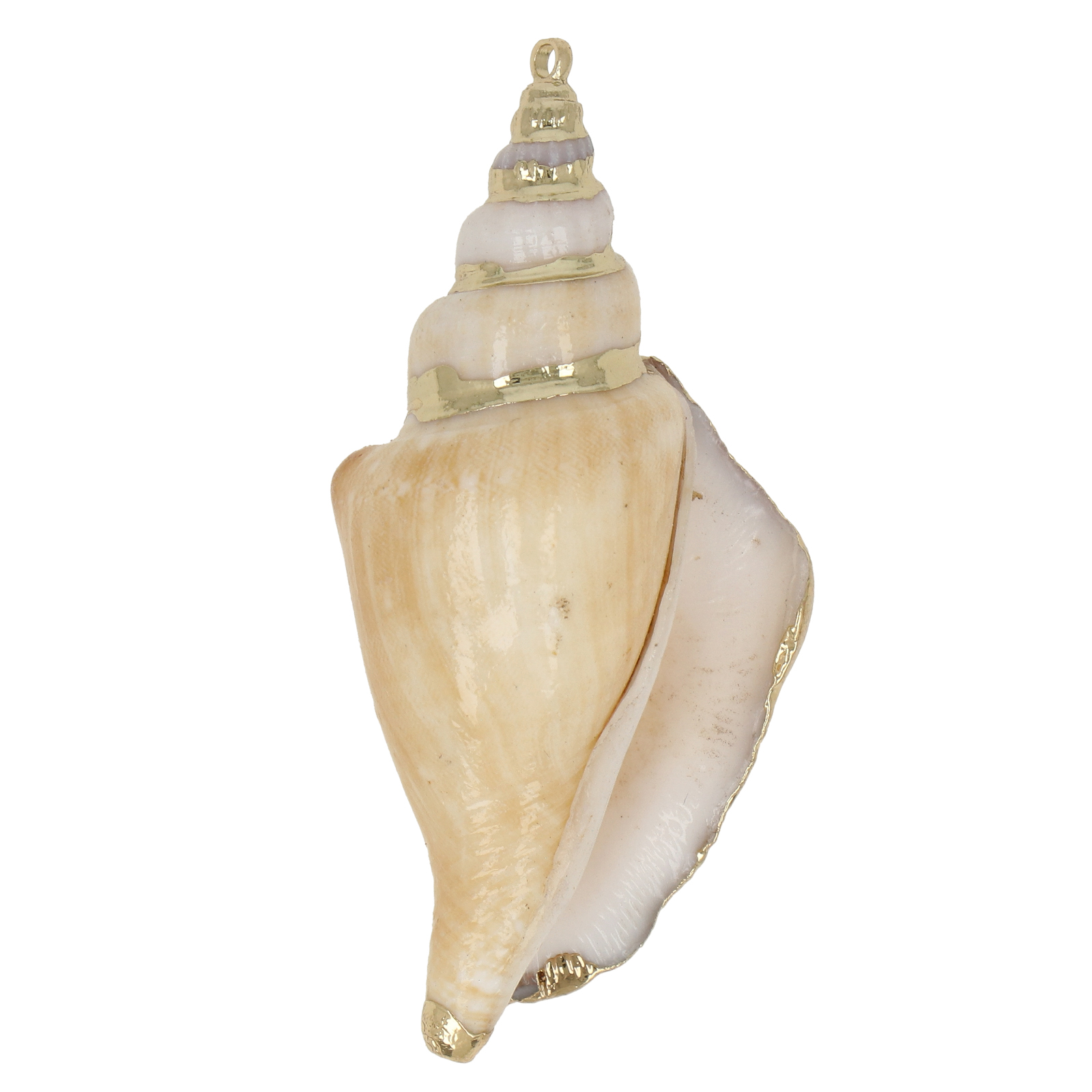 natural shell pendant gold plated 45x18mm | 2pc