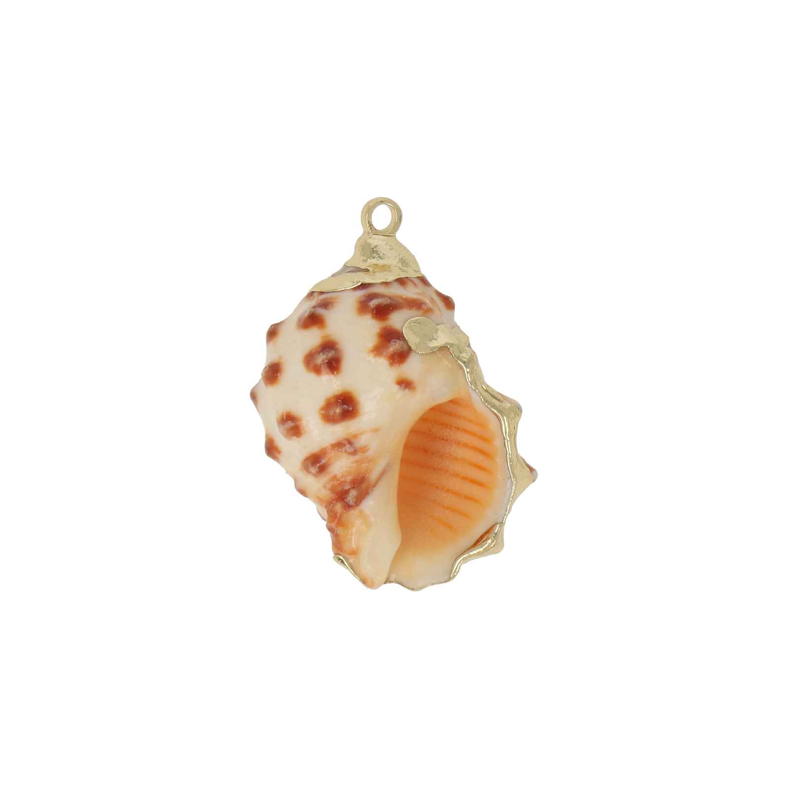 natural shell pendant gold plated 24x16mm | 2pc