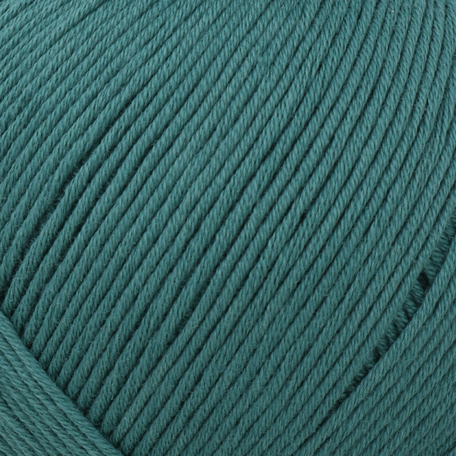 filato natura just cotton dmc tropical forest (504) - 50gr (155mt) | 1pc