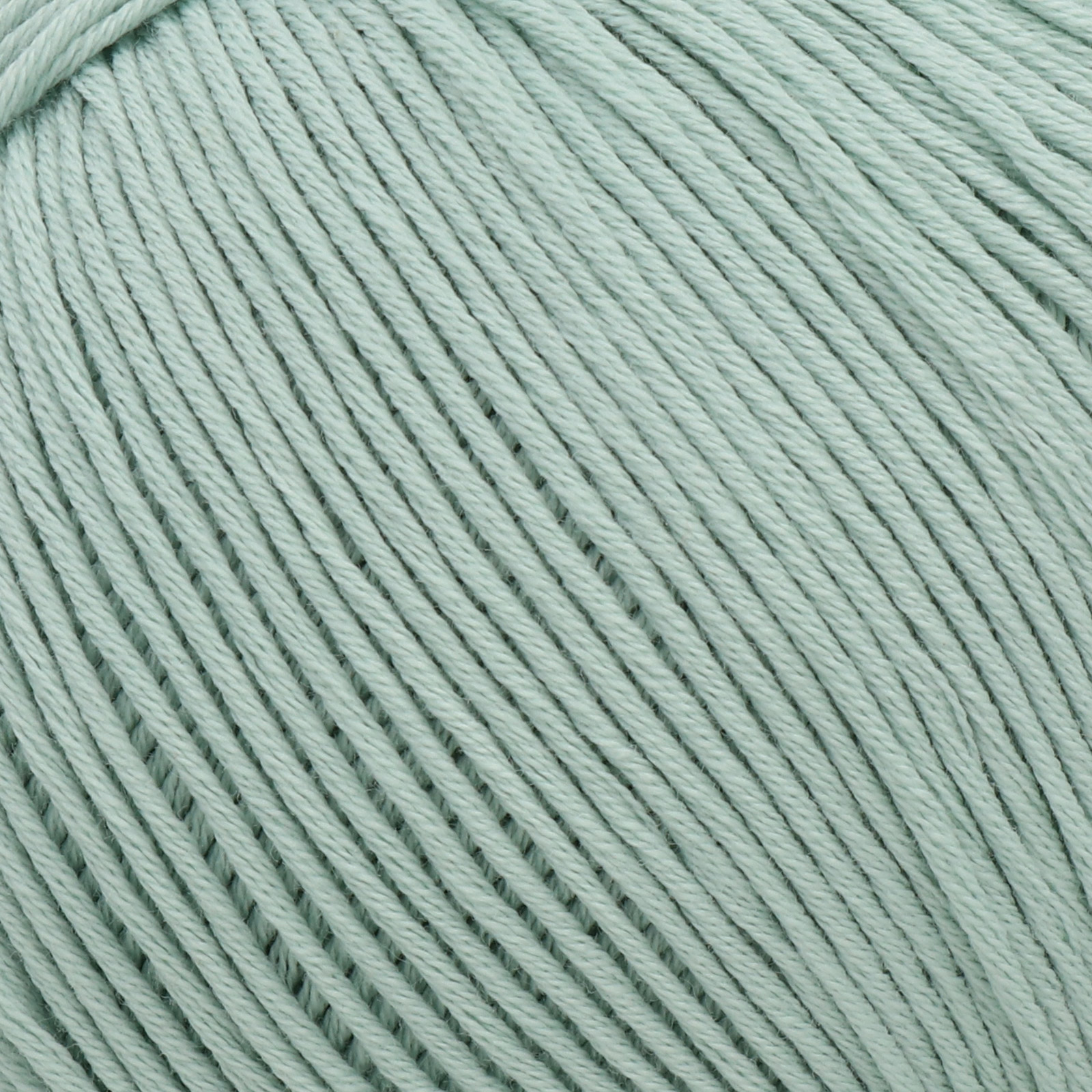 filato natura just cotton dmc grüner hafen (505) - 50gr (155mt) | 1st