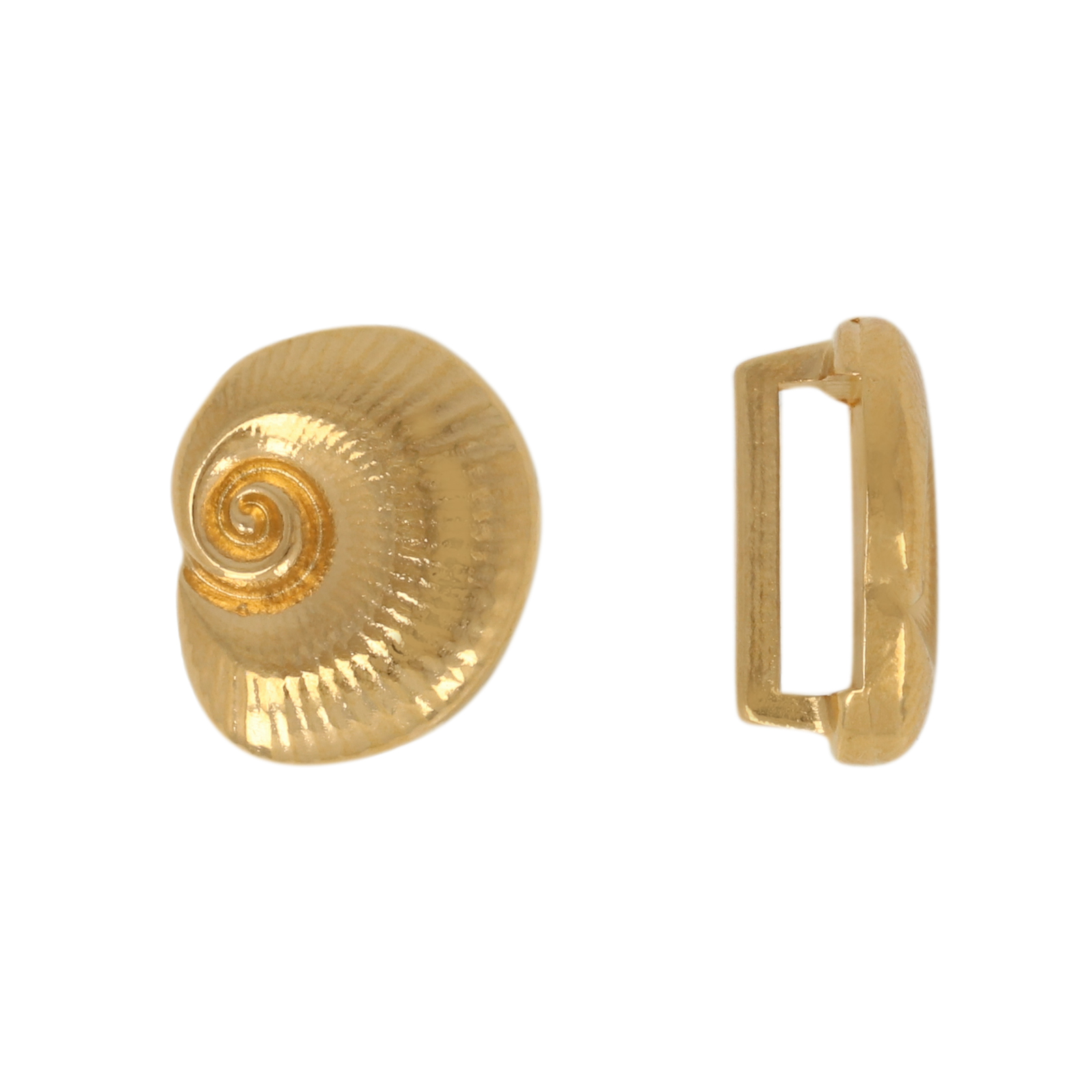 gold plated bead ammonite shell 15x12mm | 1pc