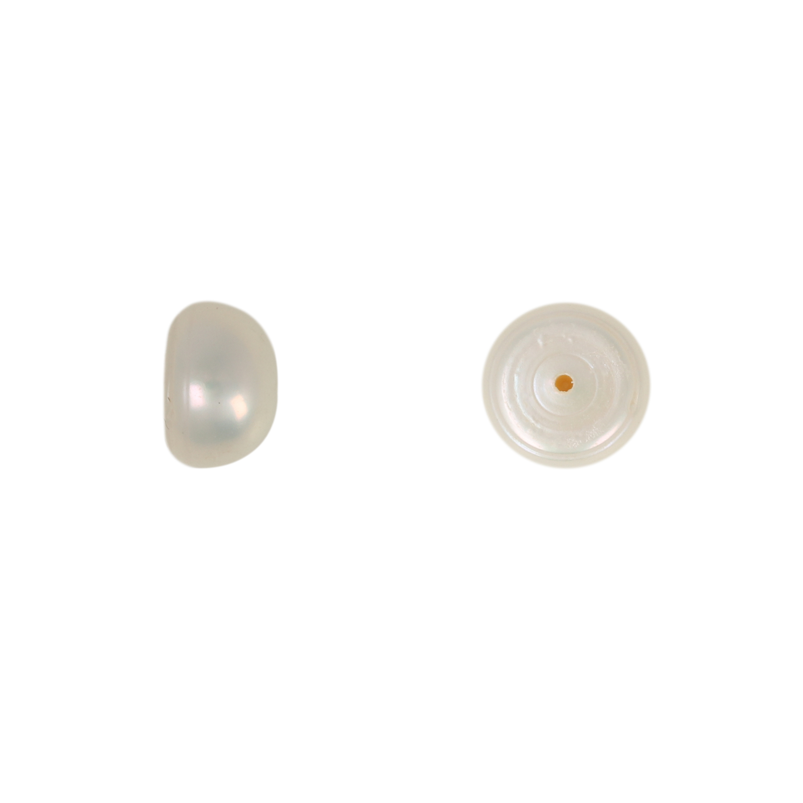 freshwater pearls white half-drilled button 9-9,5mm | 2pc