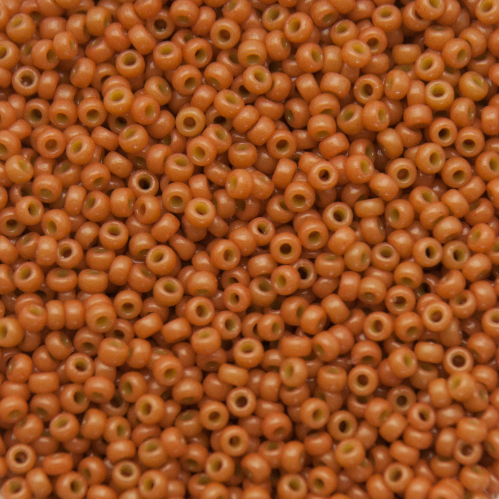 miyuki rocailles 11/0 - duracoat opaque cedar (4457) | 10gr