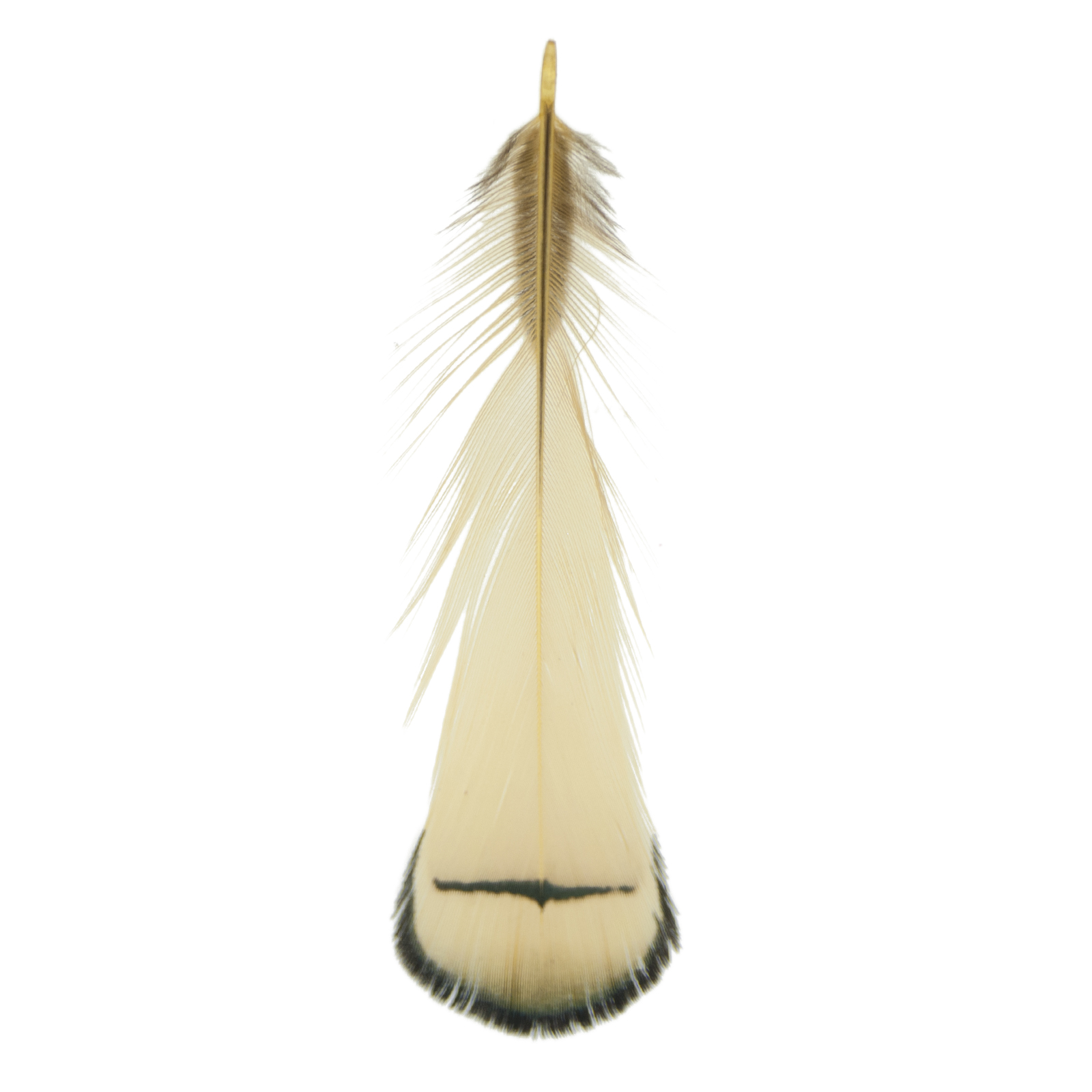 beige feathers with shade 60-110mm | 4pc