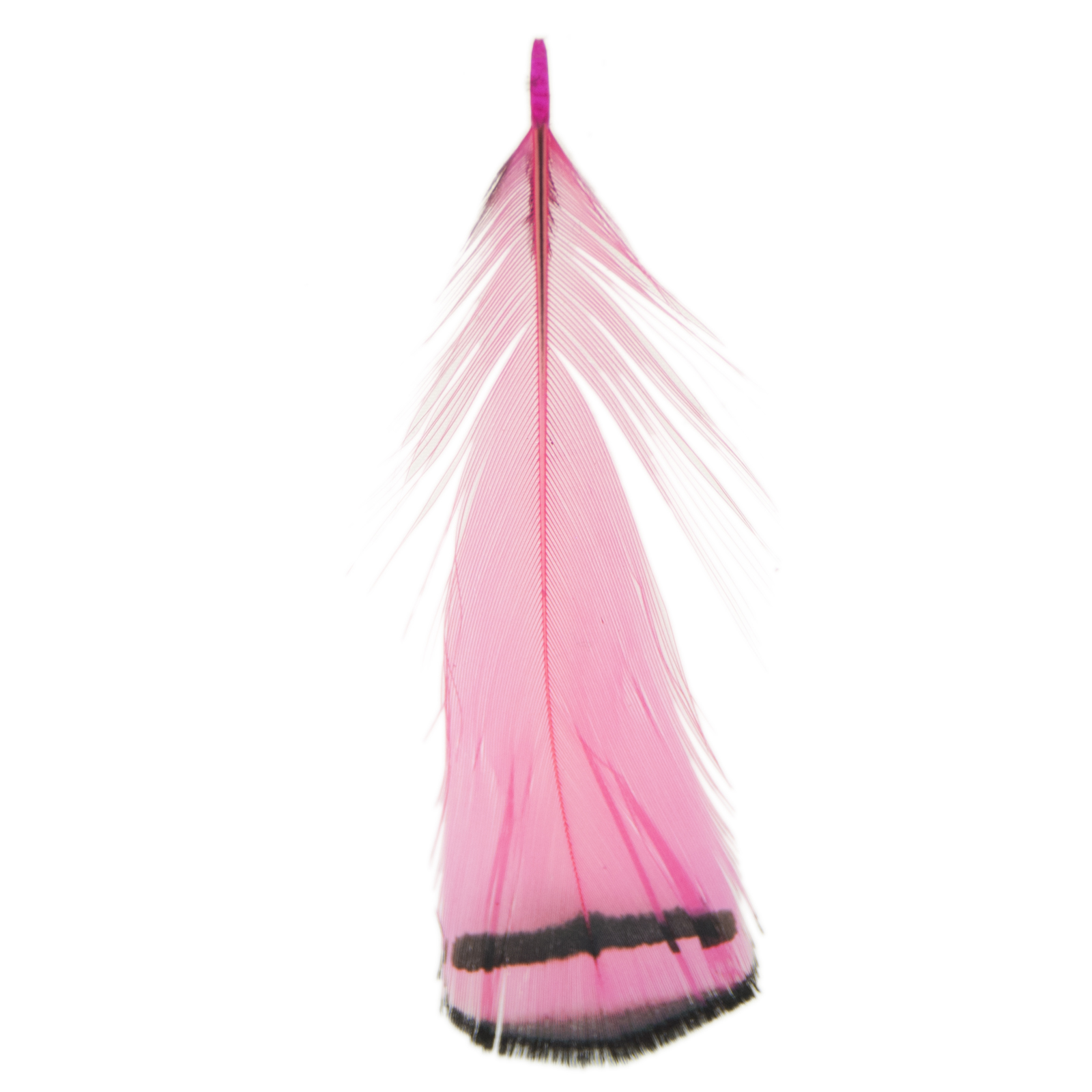 neon pink feathers with shade 60-110mm | 4pc