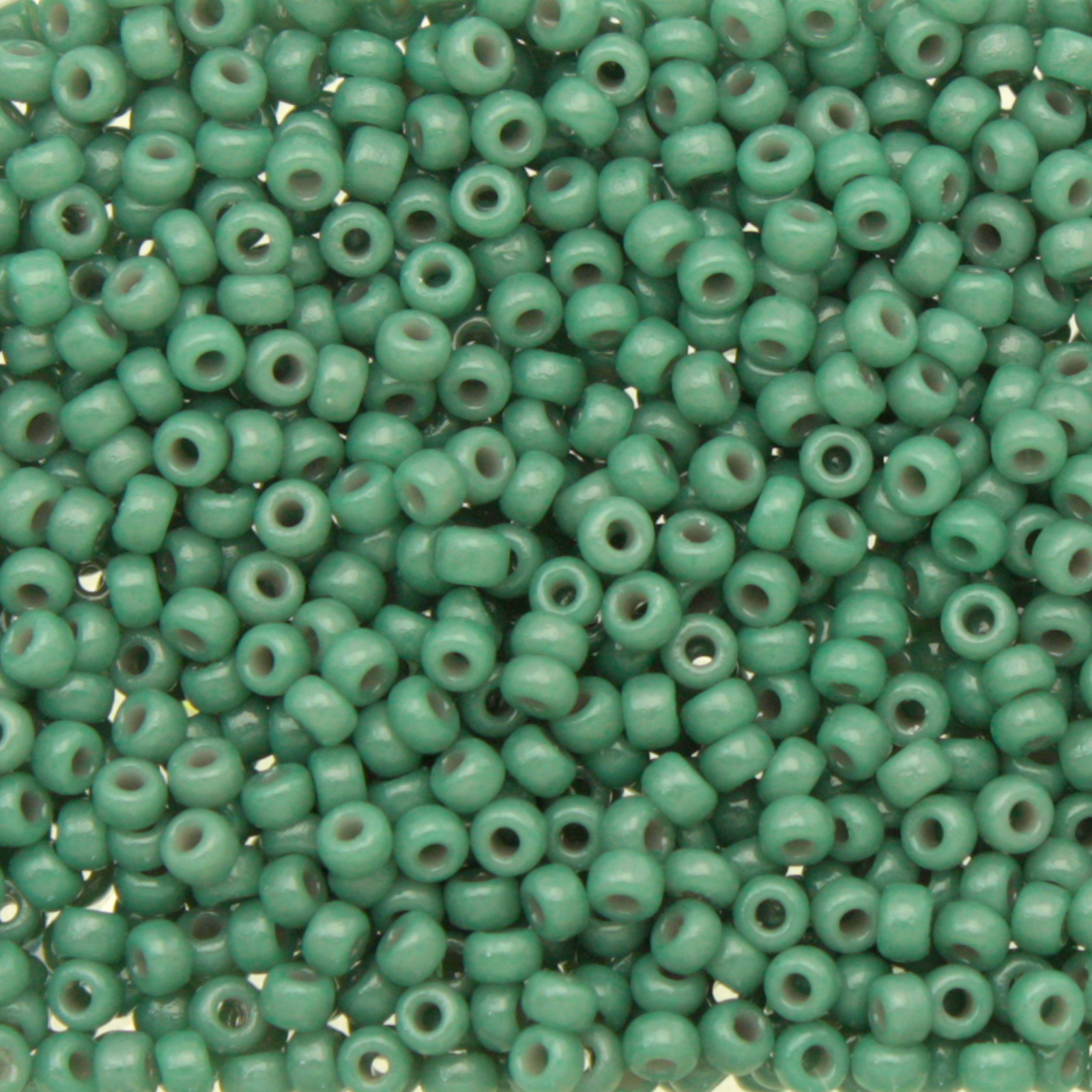 miyuki rocailles 11/0 - duracoat opaque eucalyptus (4481) | 10gr