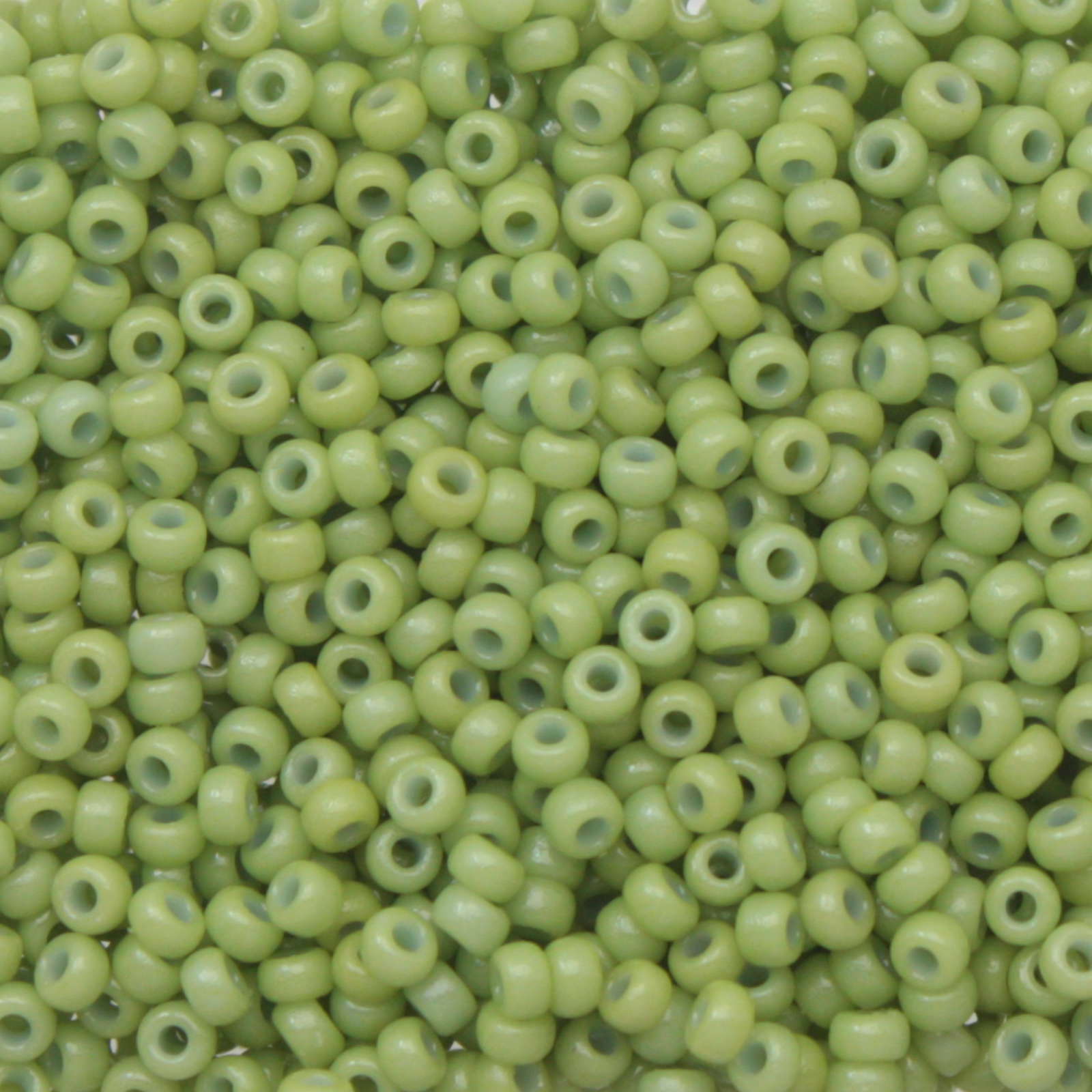 miyuki rocailles 11/0 - duracoat opaque fennel (4473) | 10gr