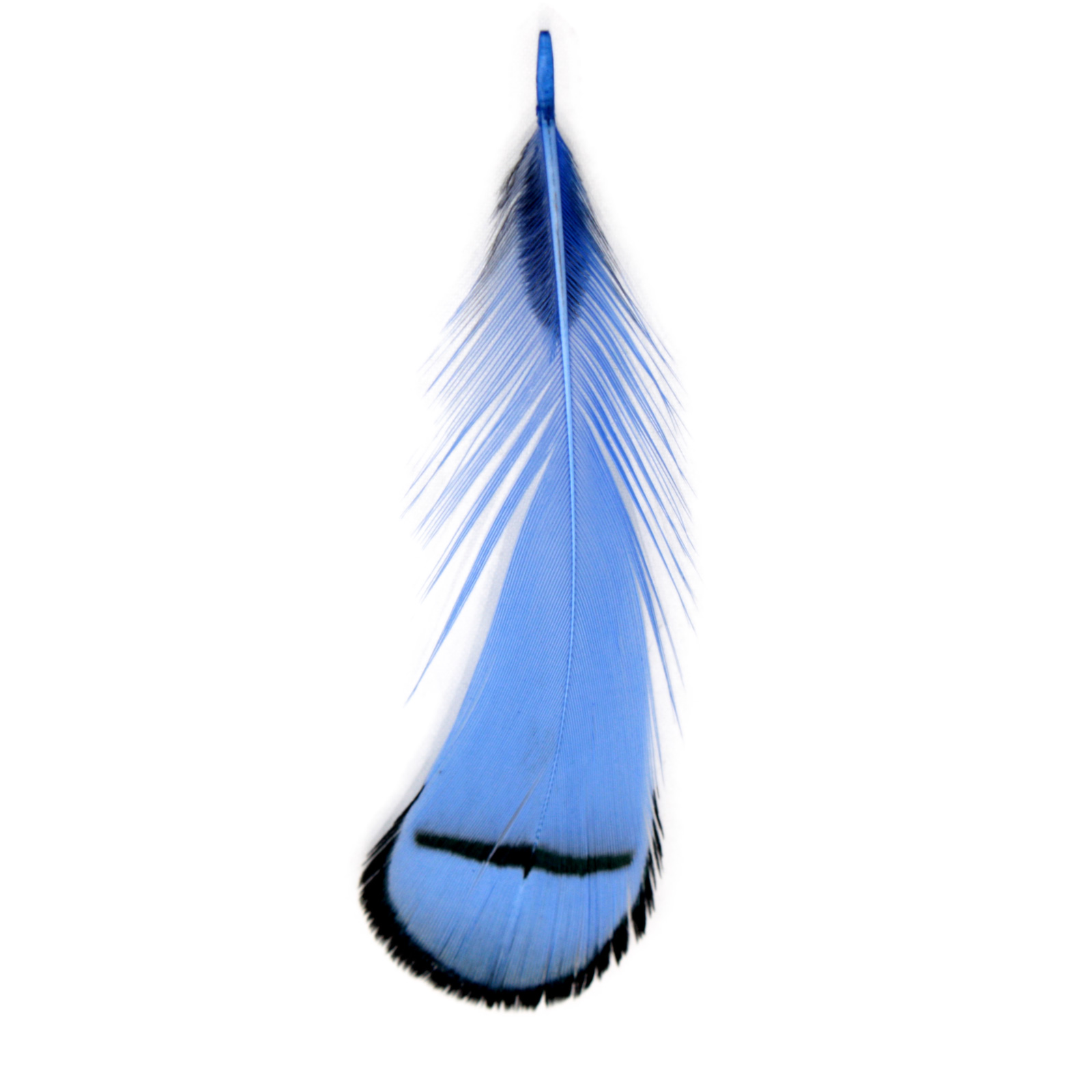 Piume blu con ombra 60-110mm 