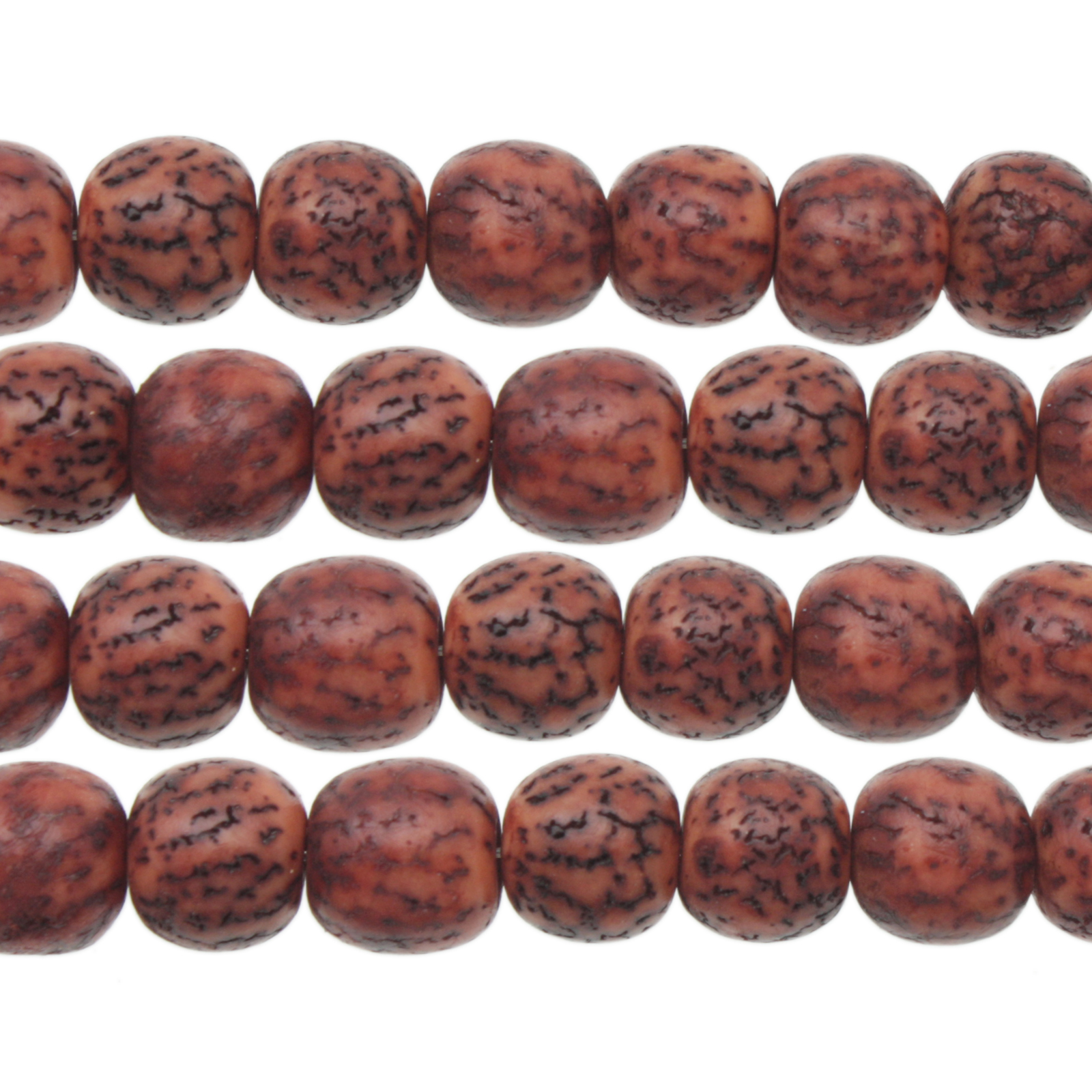 dyed salwag seeds - brown - 10mm | 16-inch strand