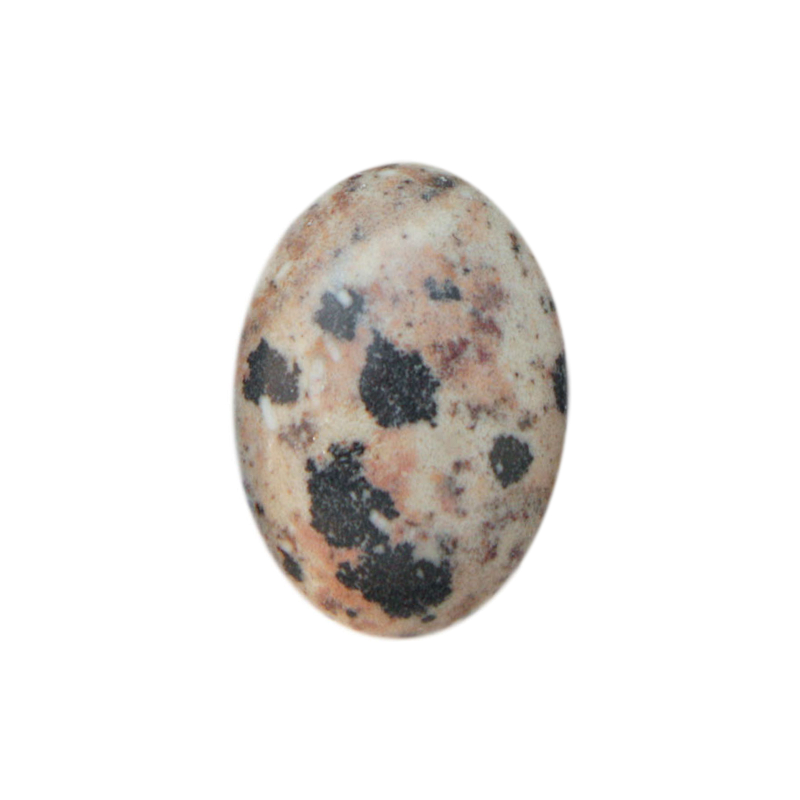 dalmatian jasper cabochon smooth oval 25x18mm | 1pc