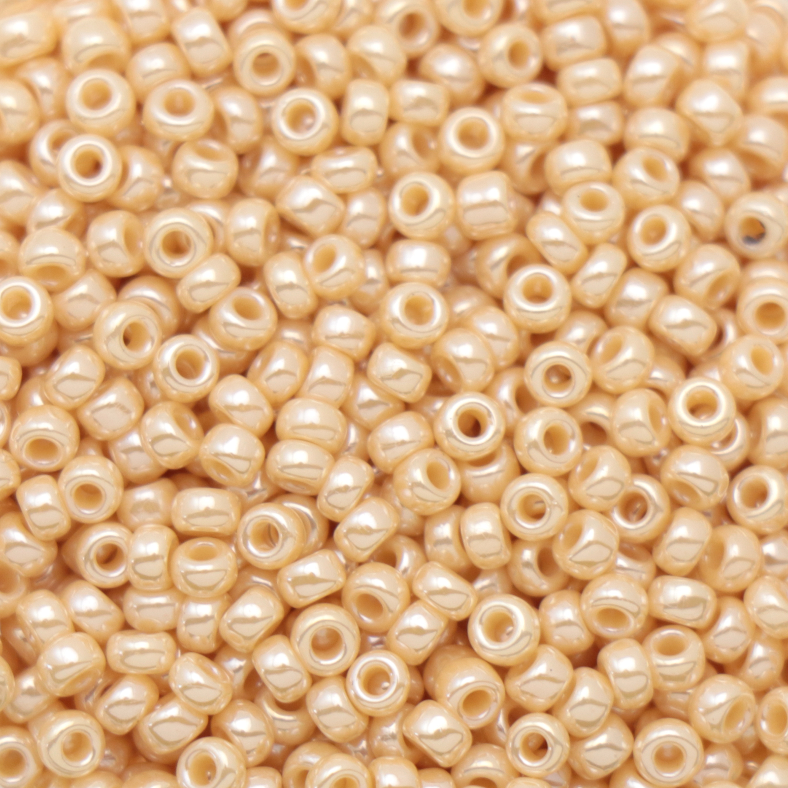 miyuki rocailles 11/0 - opaque ceylon pearl dark cream (442) | 10gr