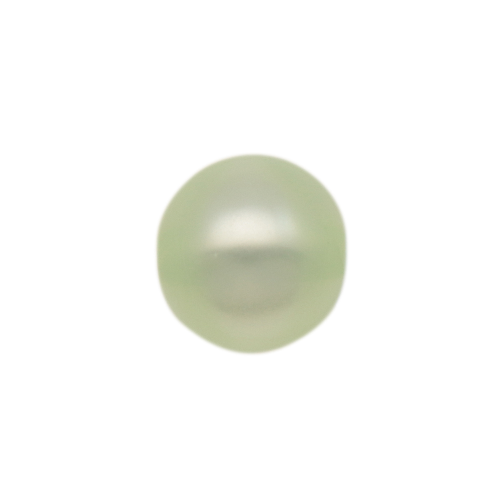perle polaris glänzend - runde grün minze 10mm | 8st
