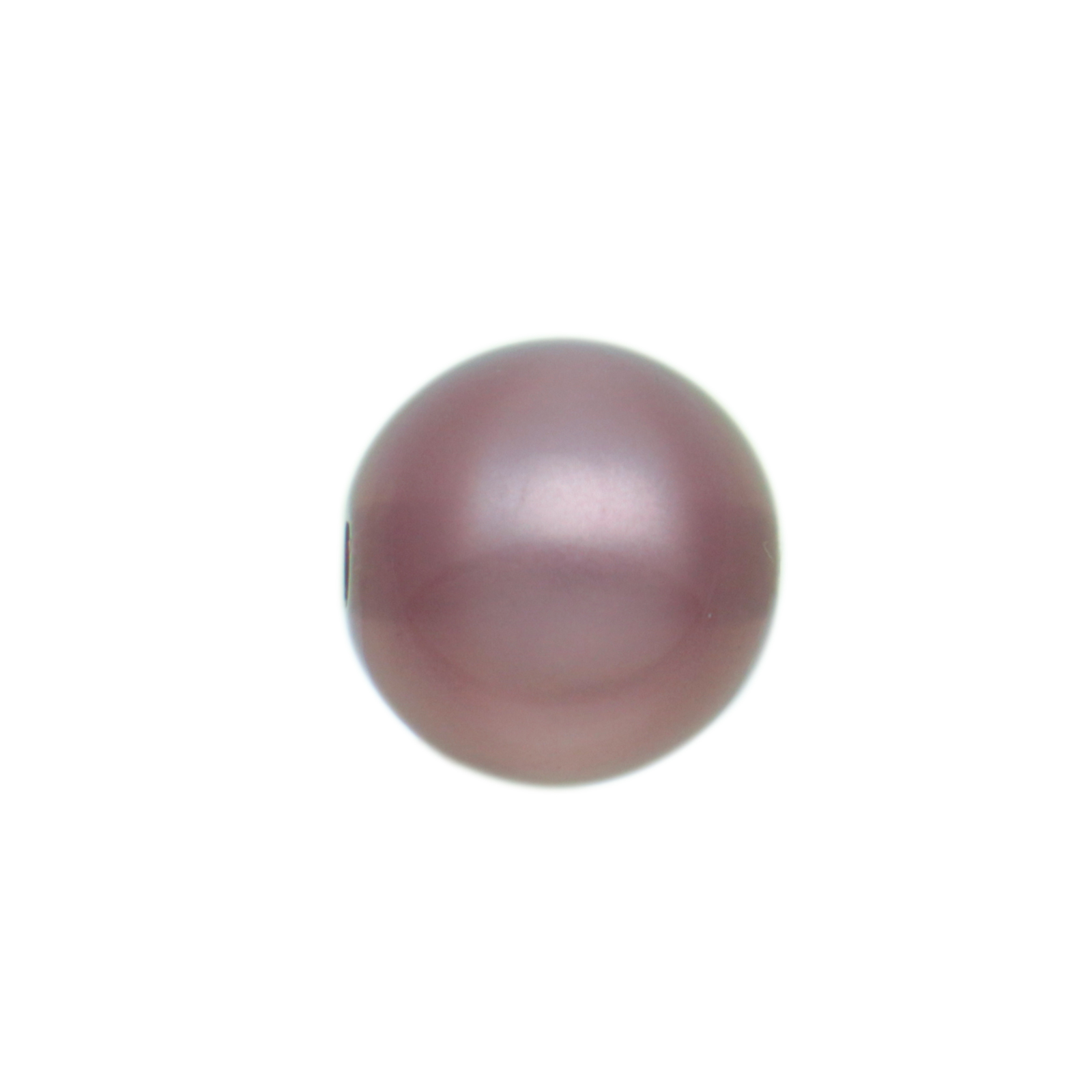 perle polaris glänzend - runde pflaume 10mm | 8st