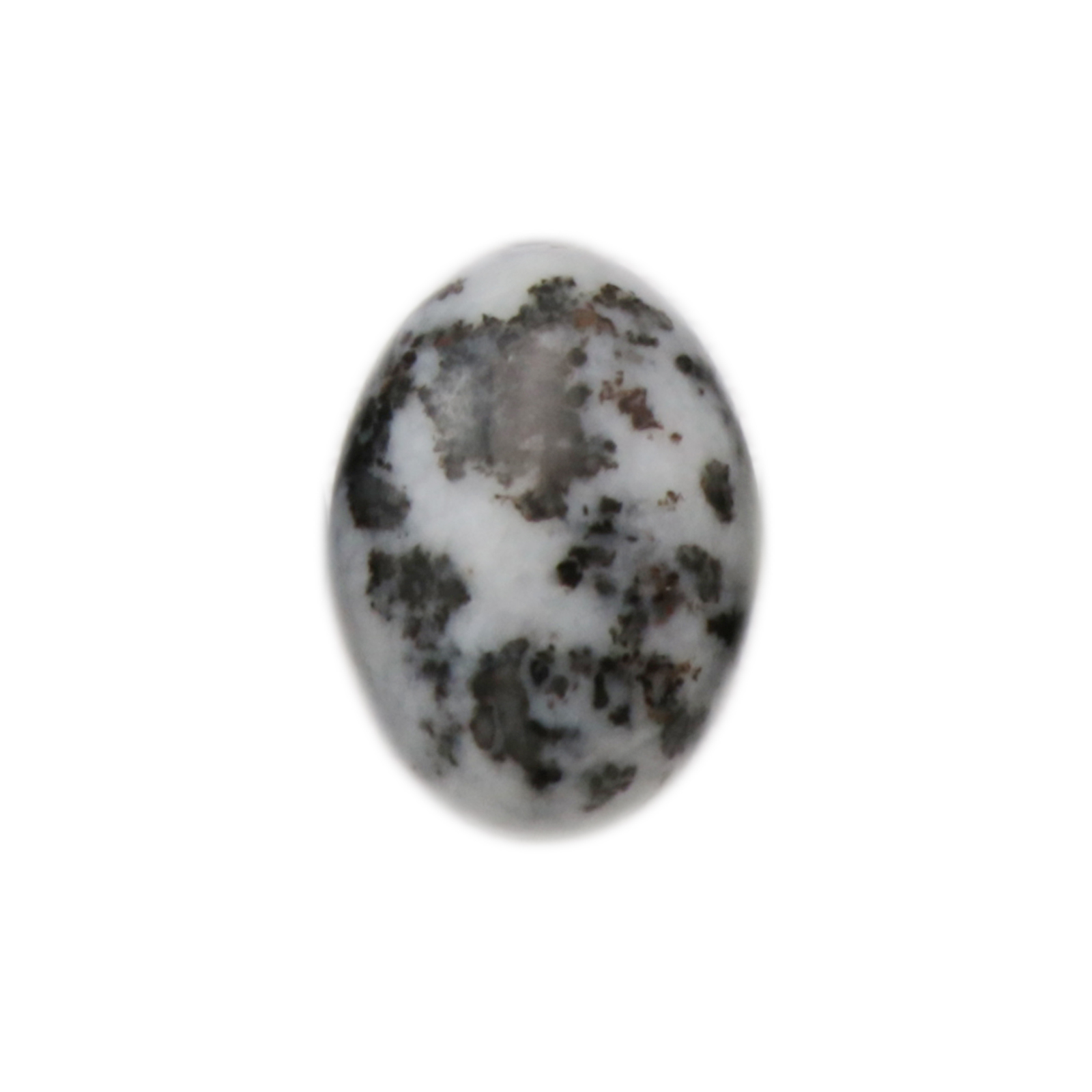 zebra jasper cabochon smooth oval 18x13mm | 1pc