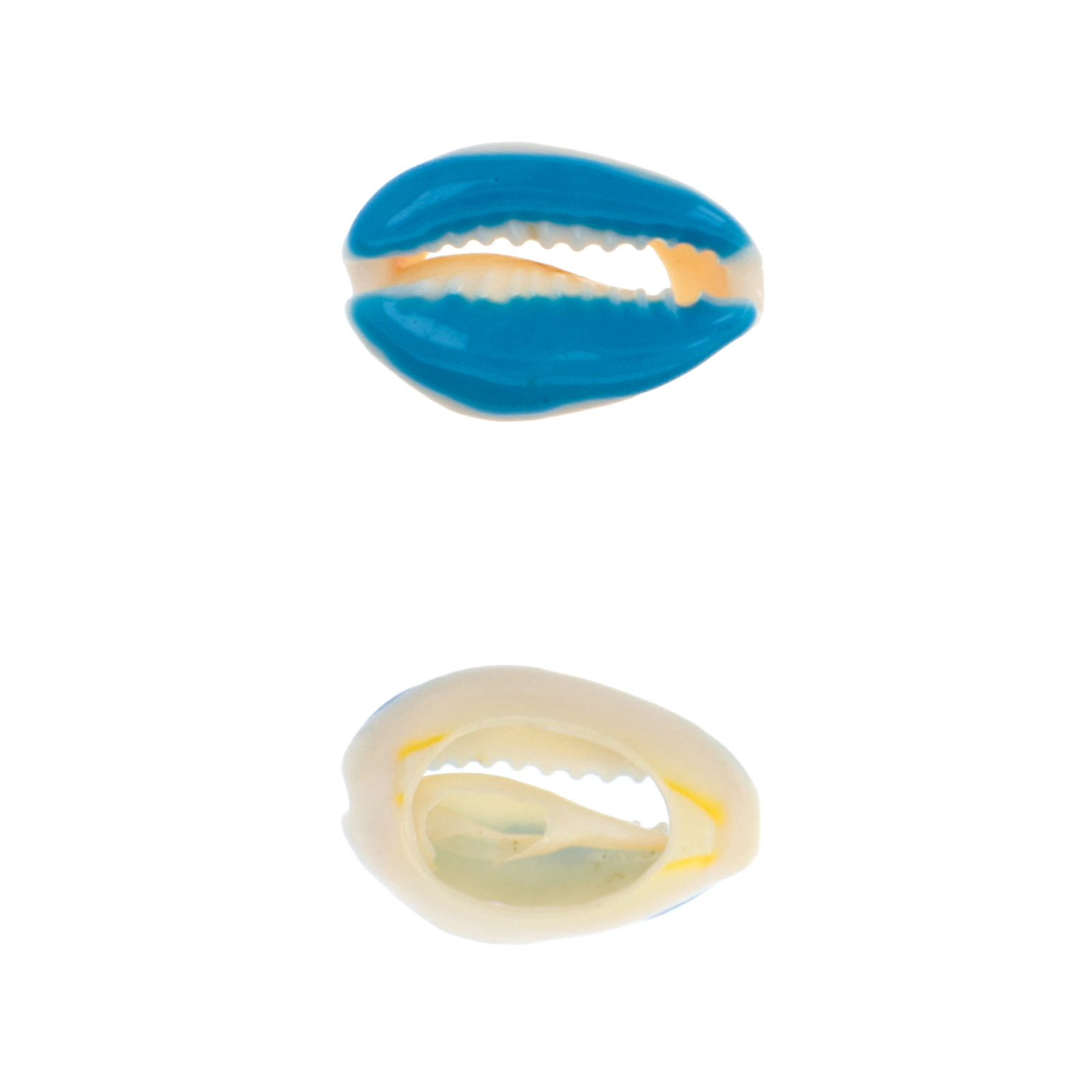 sky blue enamel ciprea shell 18-22mm | 2pc