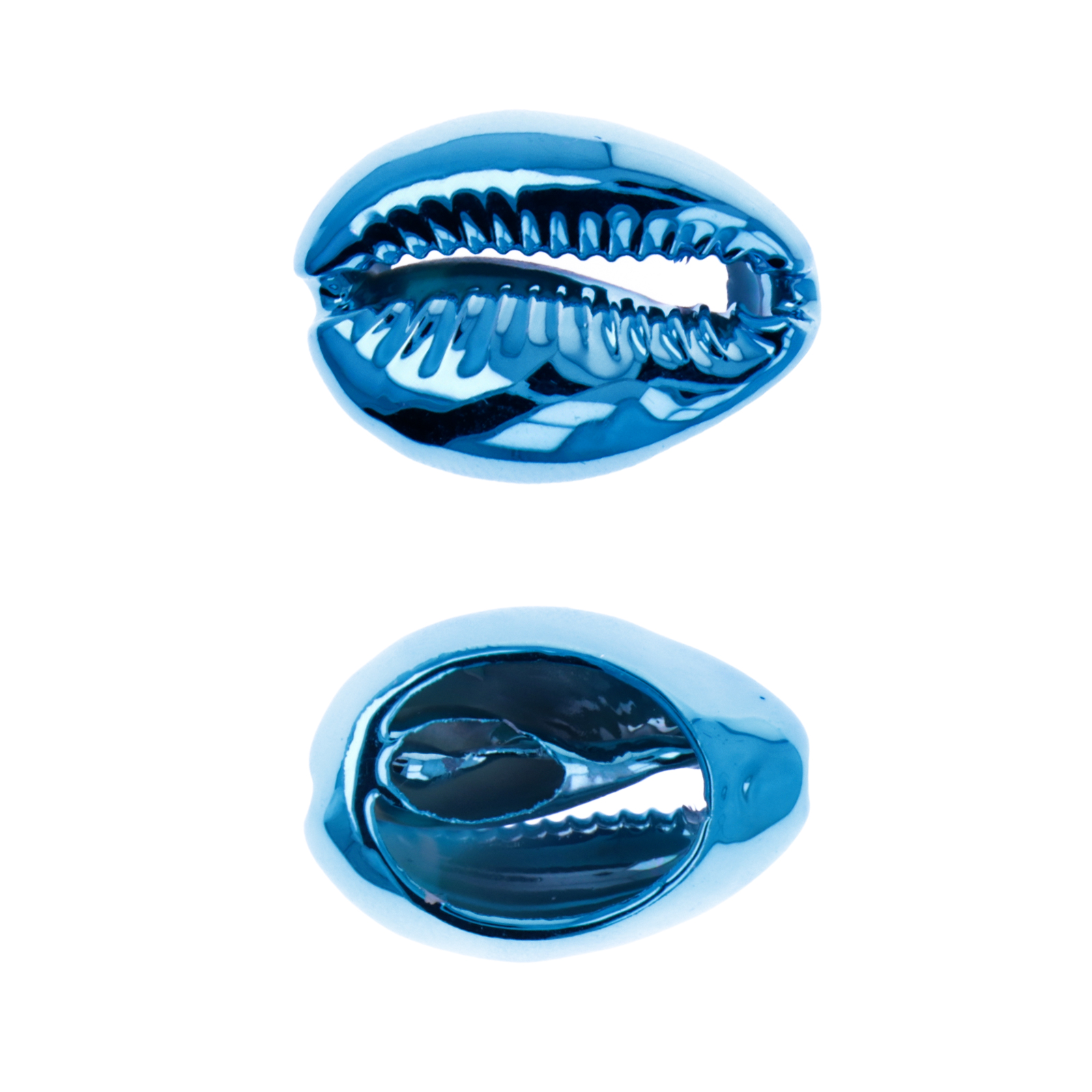 muscheln ciprea metallisch blaue 22-26mm über | 2st