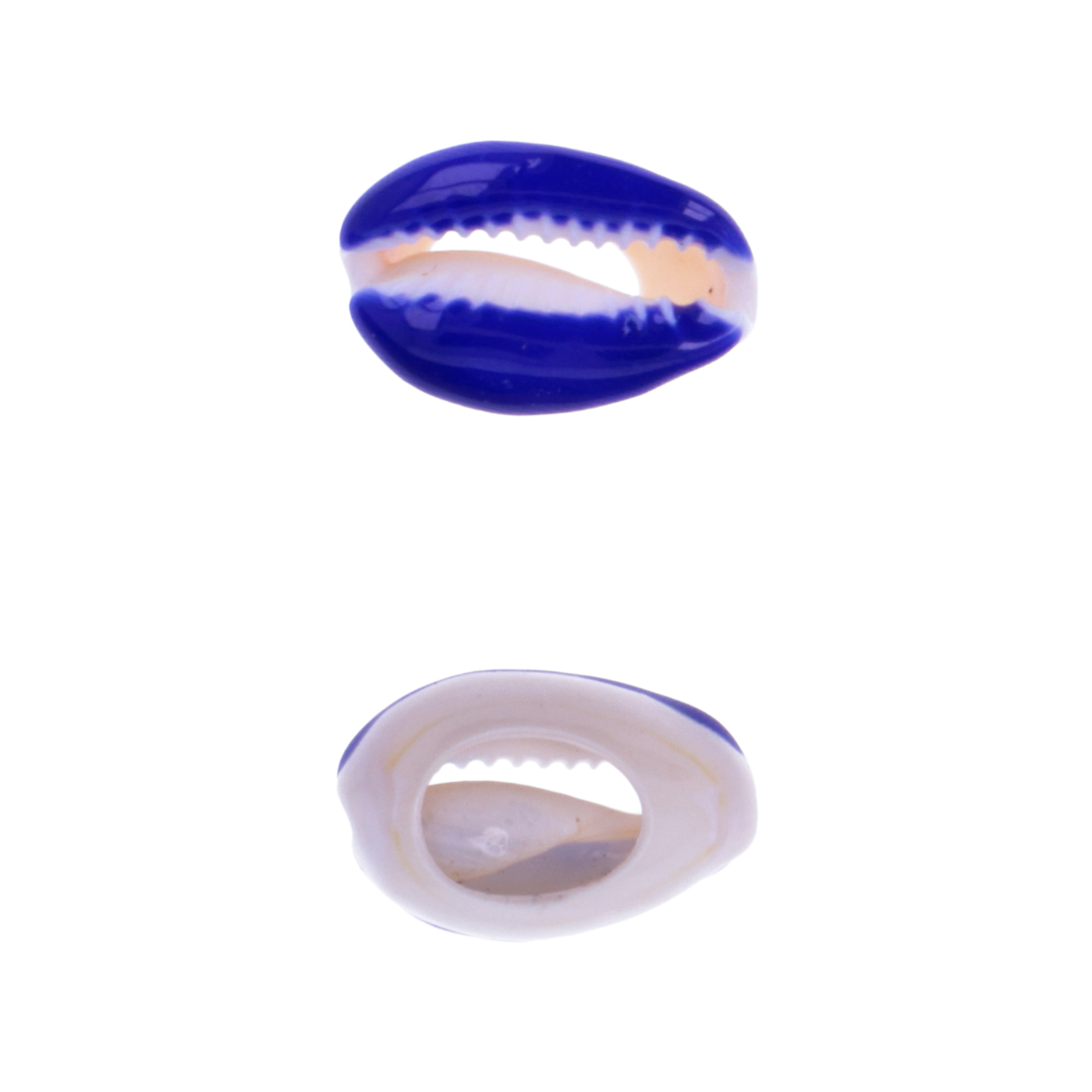 blue enamel ciprea shell 18-22mm | 2pc