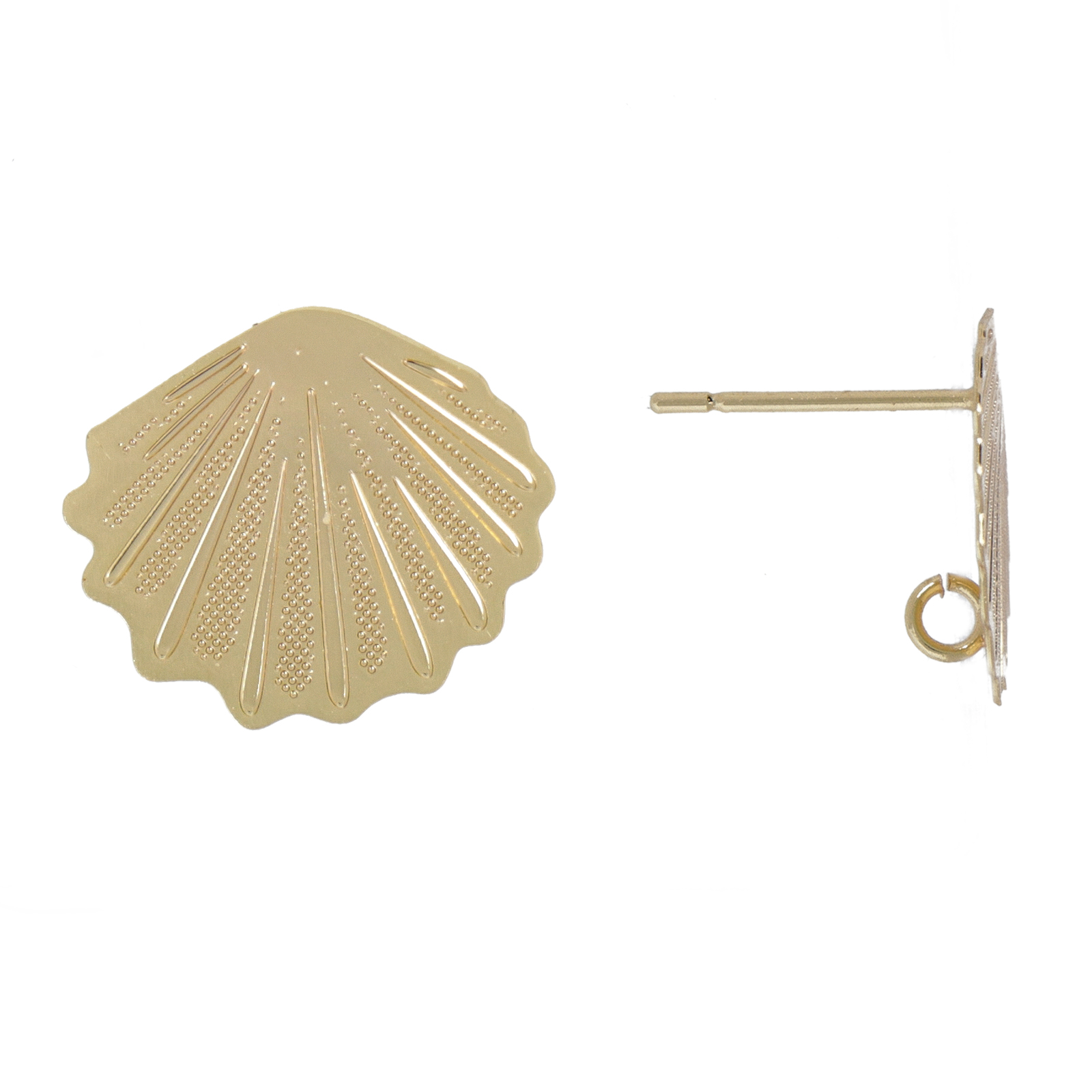 post earrings gold plated sea shell 15x12mm | 2pc