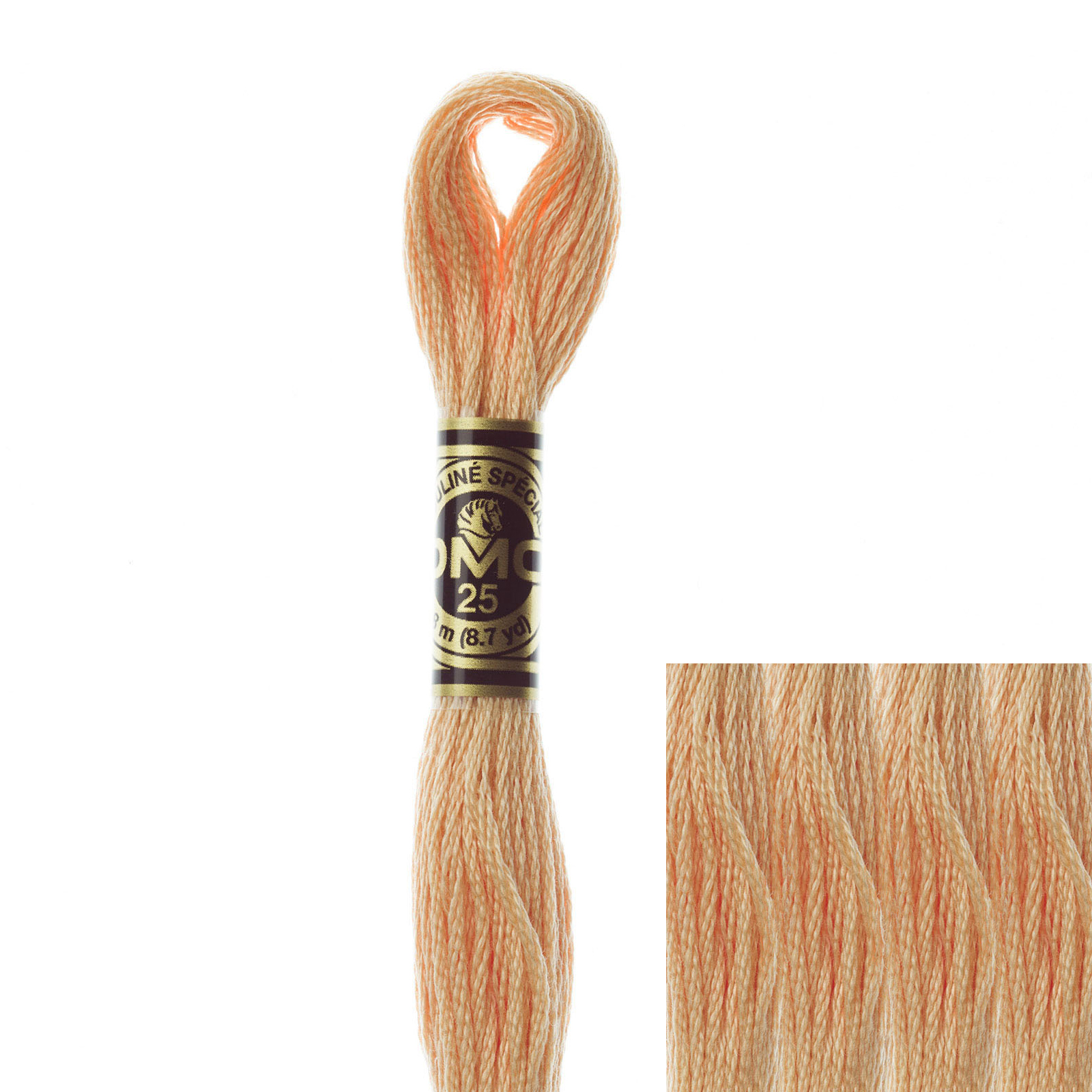 embroidery cotton mouliné spécial dmc - 3856 - 8mt | 1pc