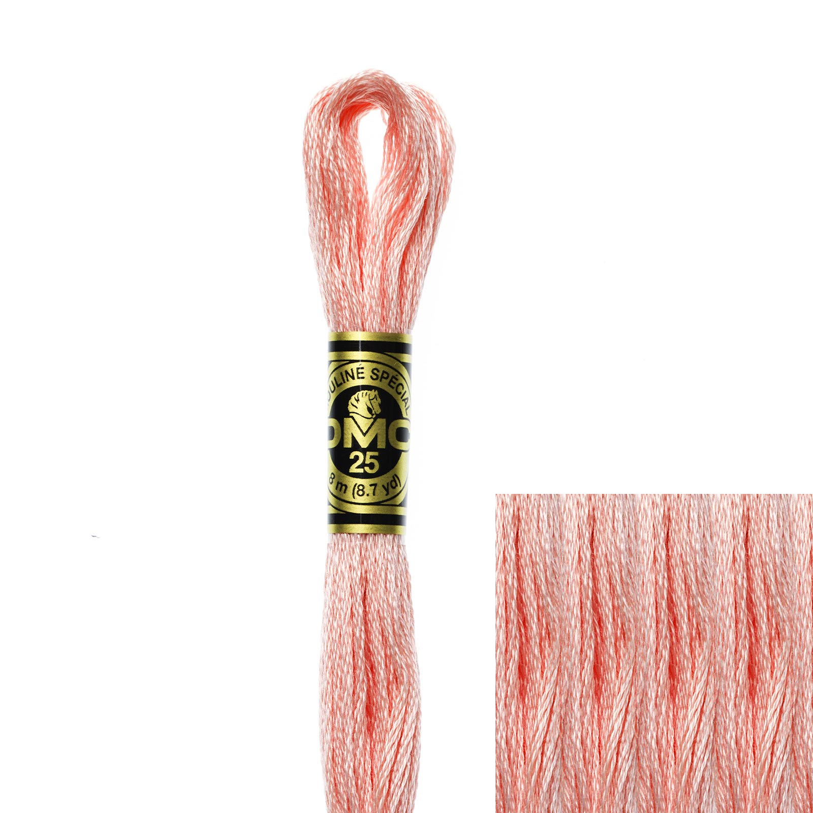 embroidery cotton mouliné spécial dmc - 761 - 8mt | 1pc