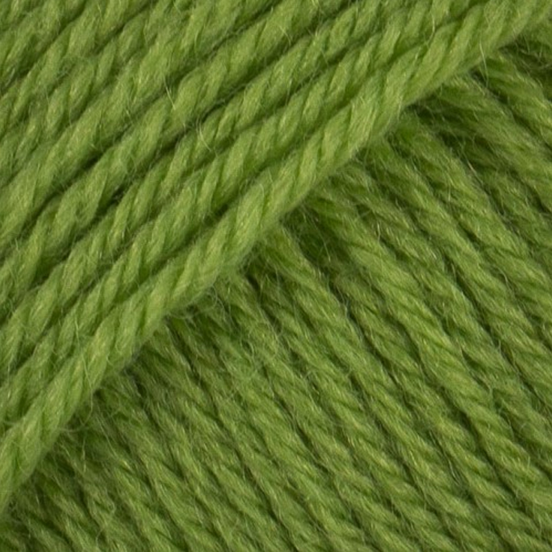 lainse du nord maxi - grün (604) - 50gr (100mt) | 1st