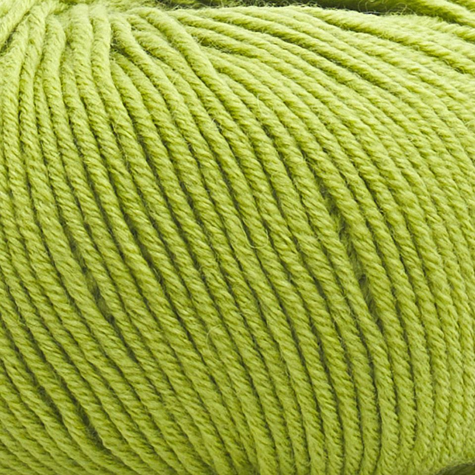 laines du nord holiday - grün (604) - 50gr (125mt) | 1st