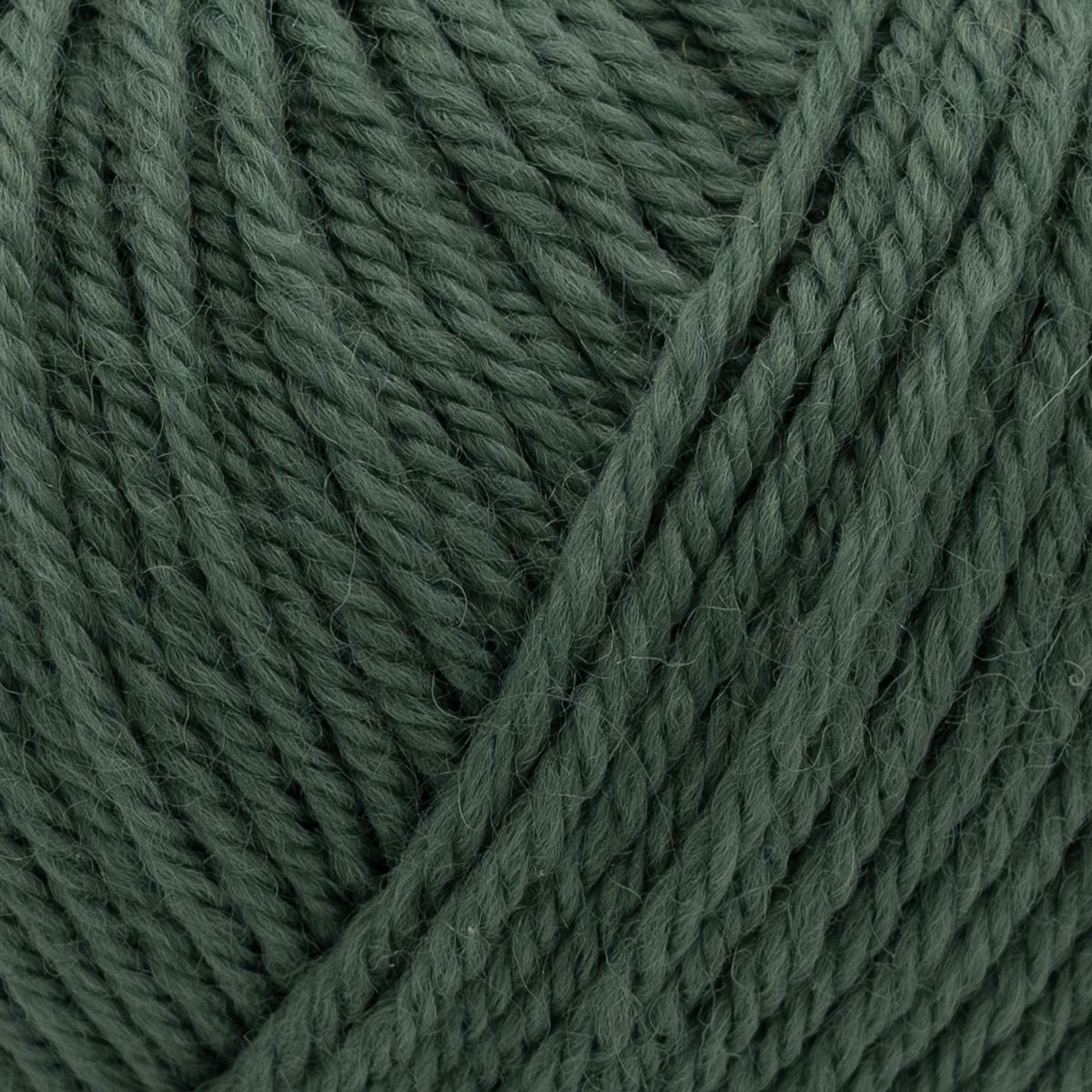laines du nord holiday - sage green (415) - 50gr (125mt) | 1pc