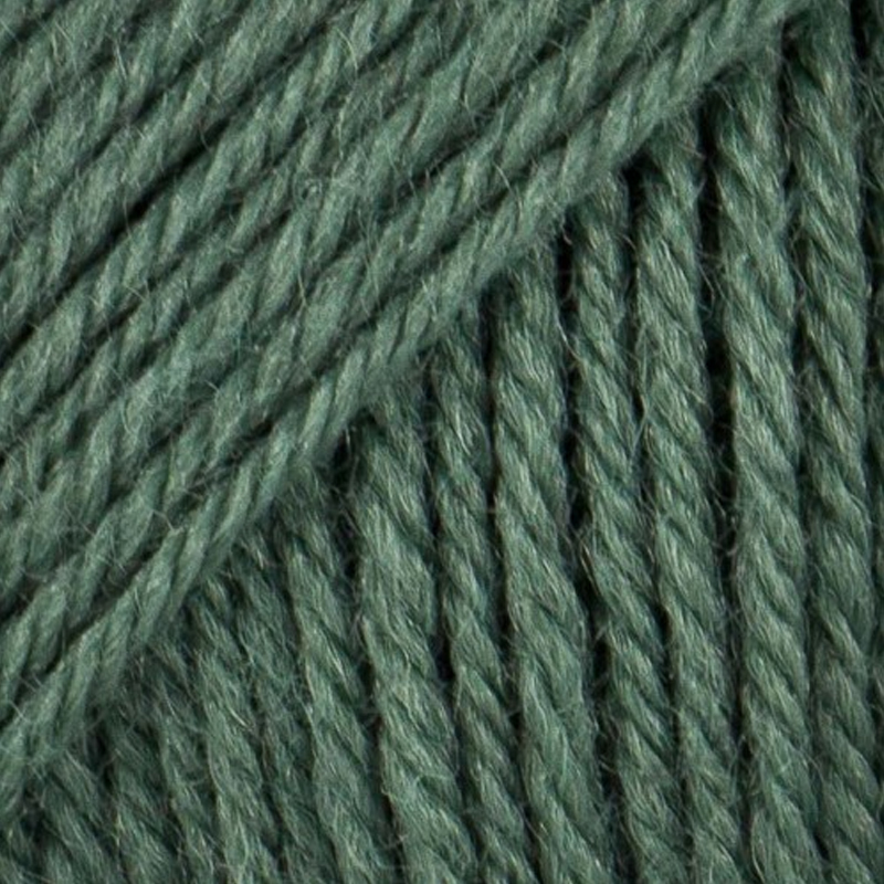 laines du nord maxi - sage (415) - 50gr (100mt) | 1pc
