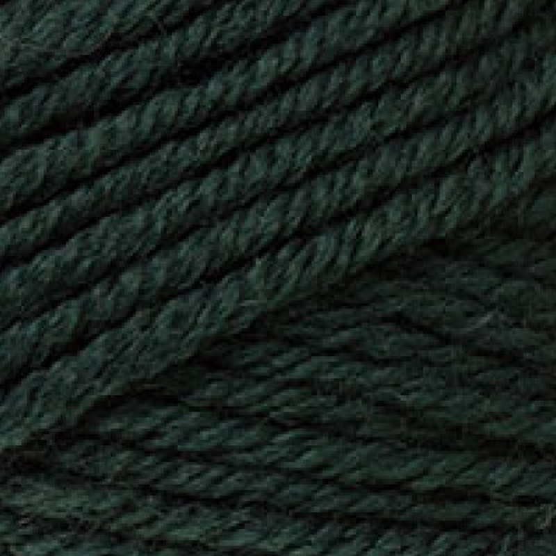 laines du nord twist - bottle green (029) - 100gr (125mt) | 1st