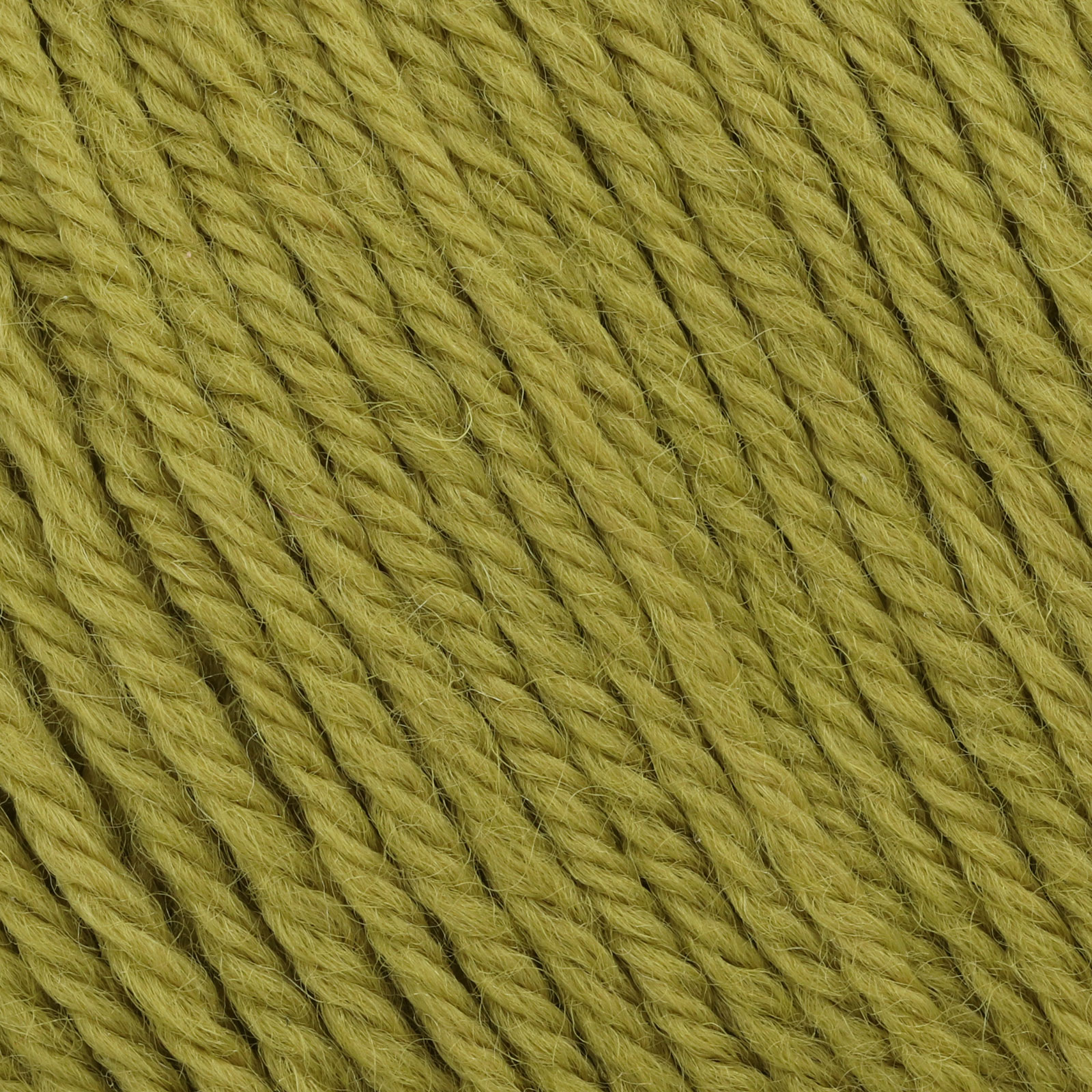 laines du nord holiday - olive (597) - 50gr (125mt) | 1pc